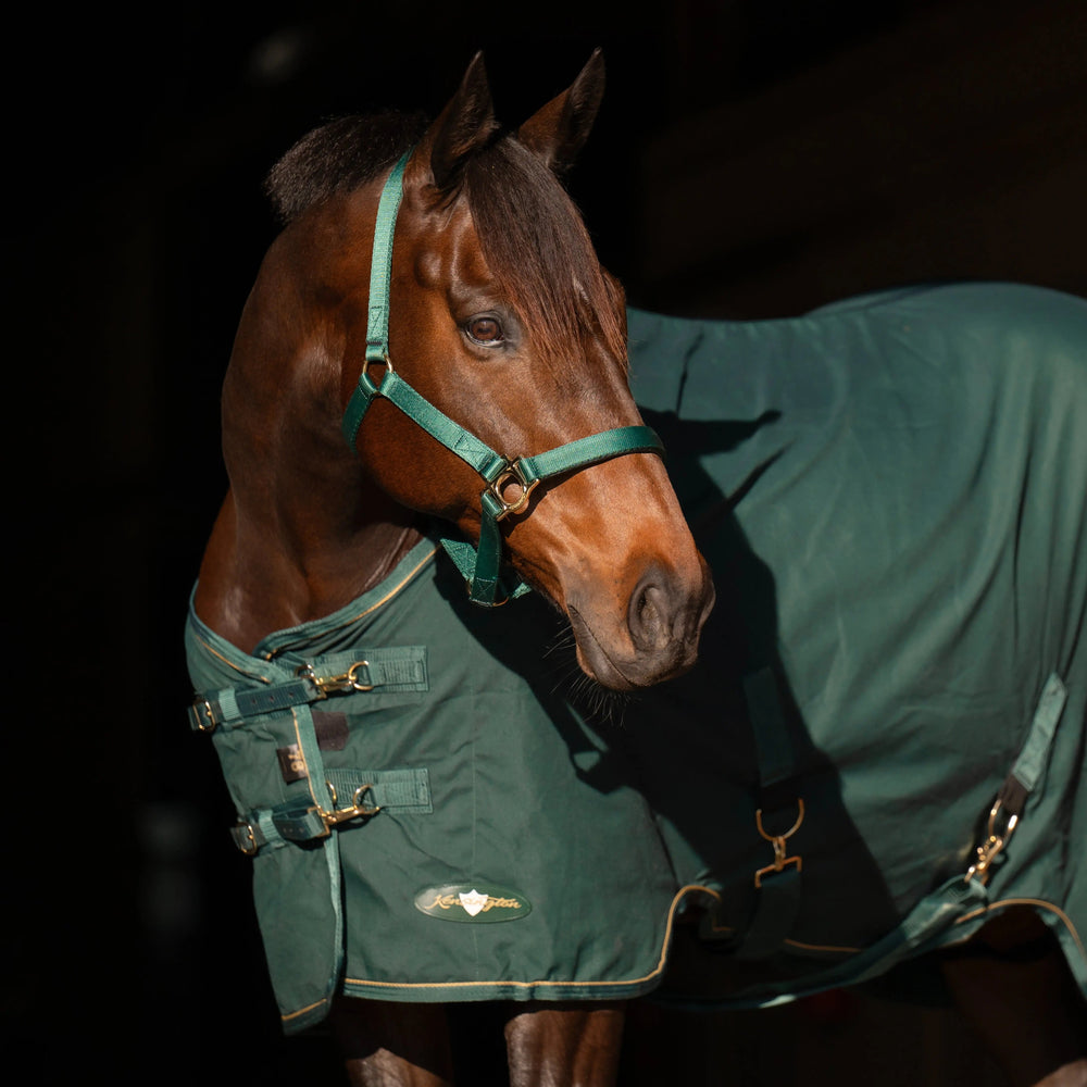 Poly Cotton Stable Sheet - Equine Exchange Tack Shop