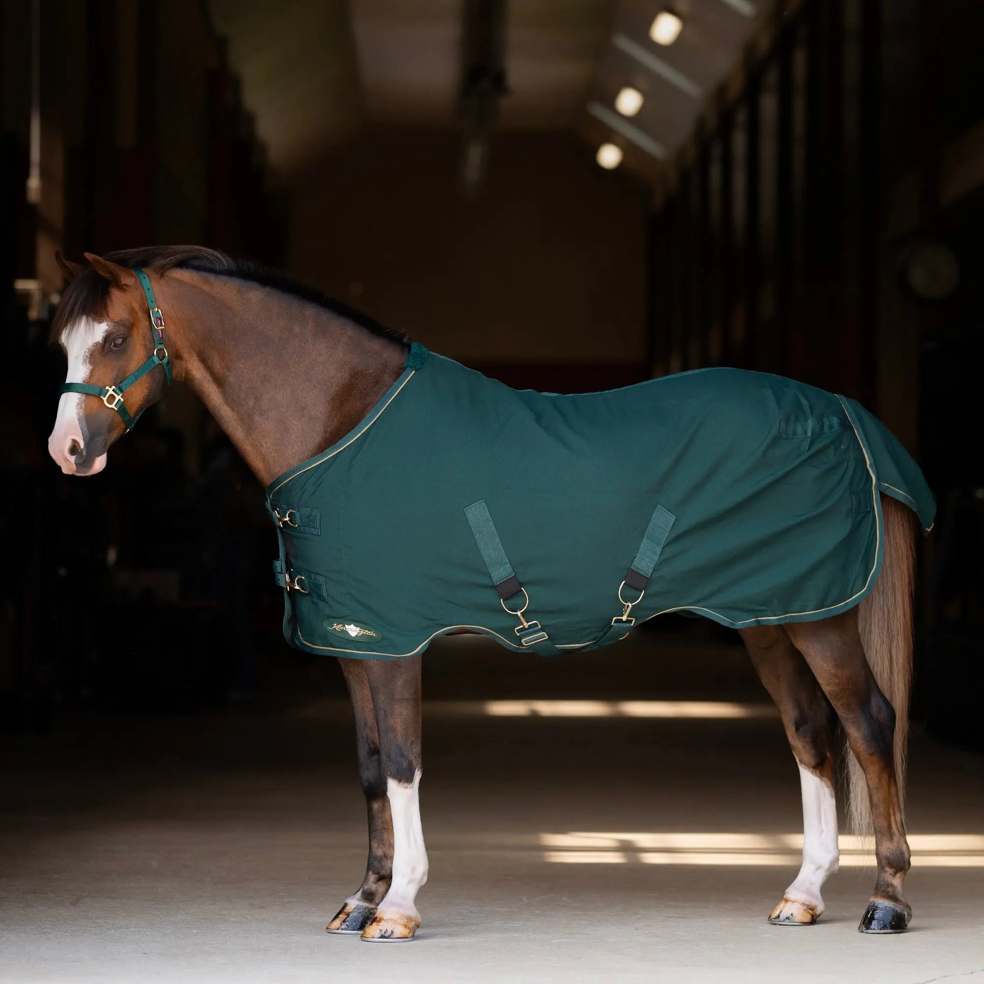 Pony Poly Cotton Stable Sheet - Equine Exchange Tack Shop