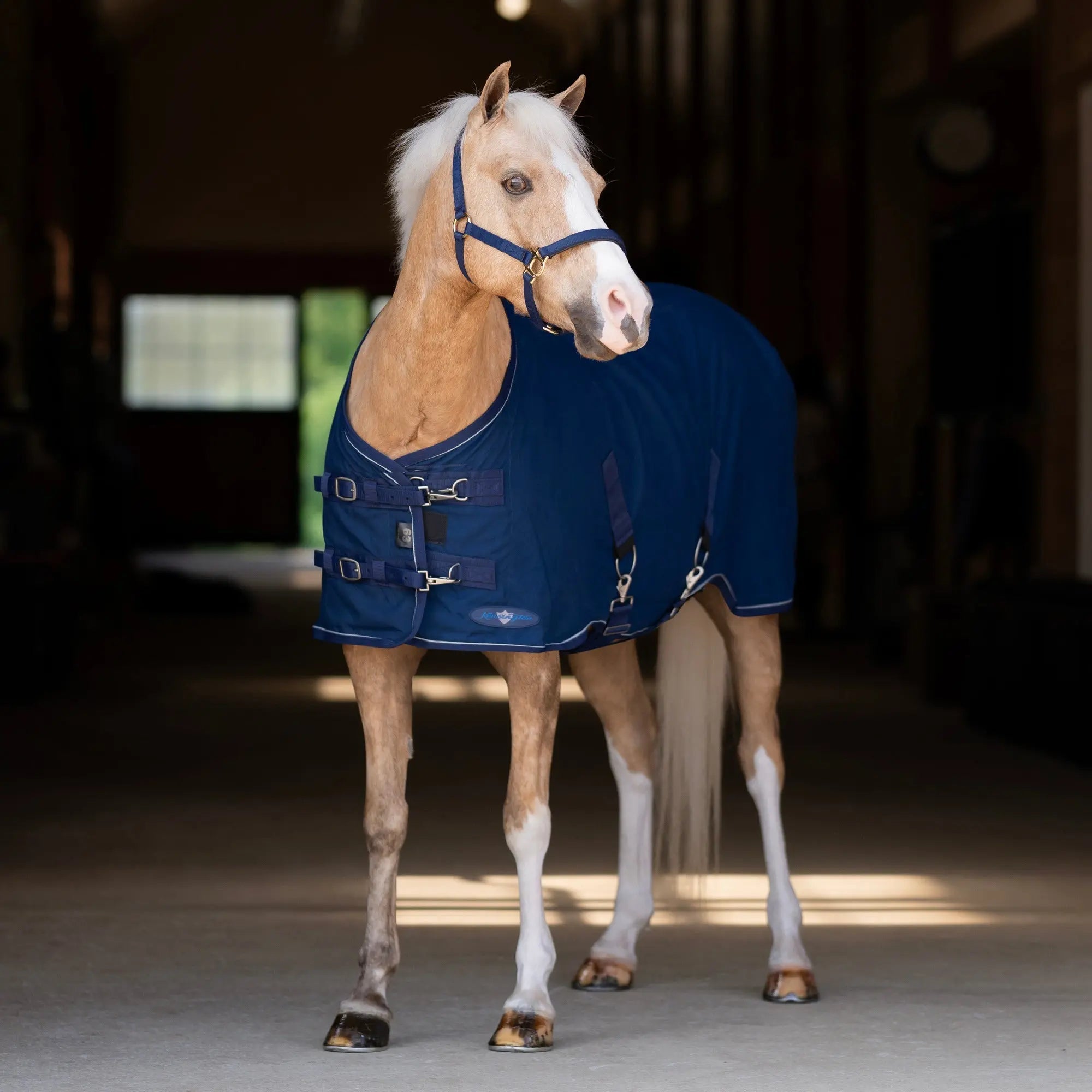 Pony Poly Cotton Stable Sheet - Equine Exchange Tack Shop
