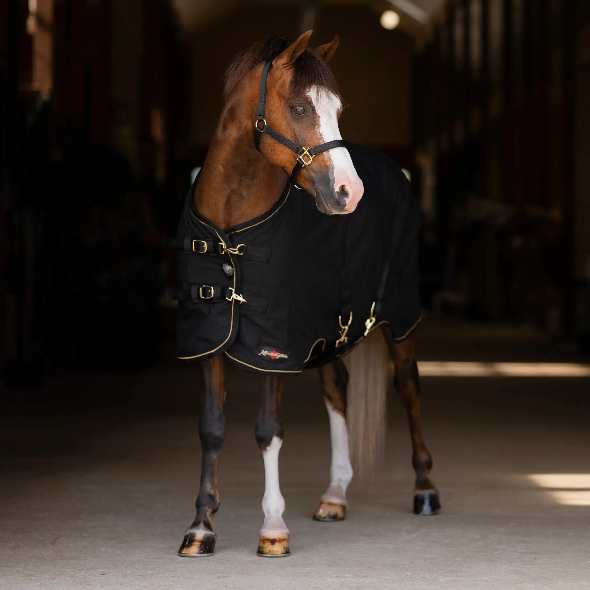 Pony Poly Cotton Stable Sheet - Equine Exchange Tack Shop