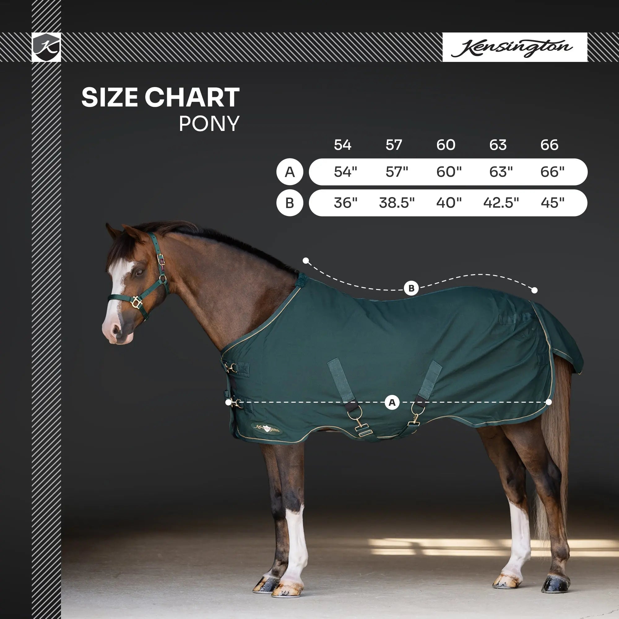 Pony Poly Cotton Stable Sheet - Equine Exchange Tack Shop