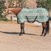 Protective Fly Sheet with SureFit® - 73% UV Blocking - Equine Exchange Tack Shop