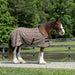 Draft Protective Fly Sheet - 73% UV Blocking - Equine Exchange Tack Shop