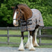 Draft Protective Fly Sheet - 73% UV Blocking - Equine Exchange Tack Shop