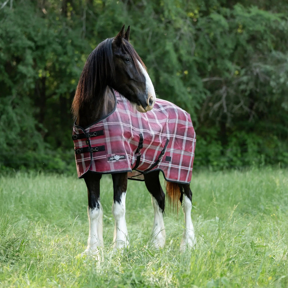 Draft Protective Fly Sheet - 73% UV Blocking - Equine Exchange Tack Shop