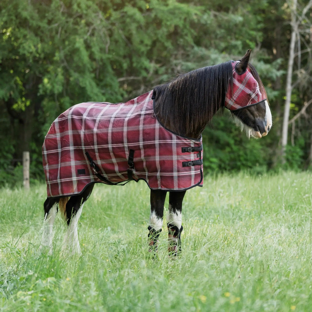 Draft Protective Fly Sheet - 73% UV Blocking - Equine Exchange Tack Shop