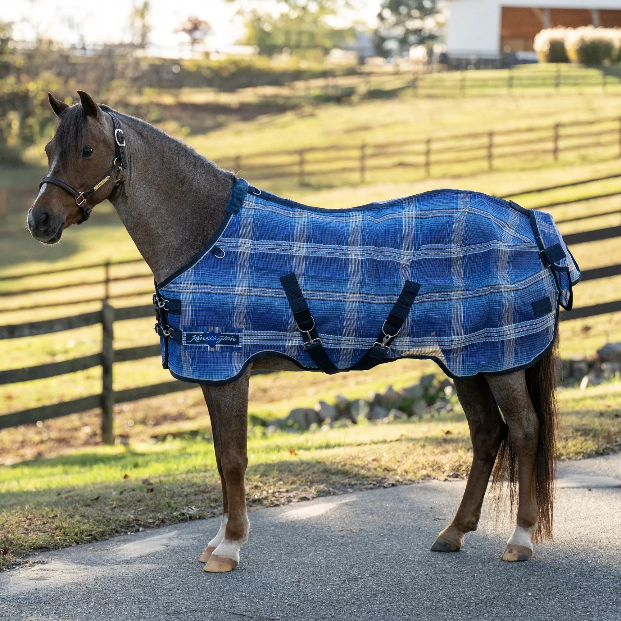 Pony Protective Fly Sheet with SureFit® - 73% UV Blocking - Equine Exchange Tack Shop