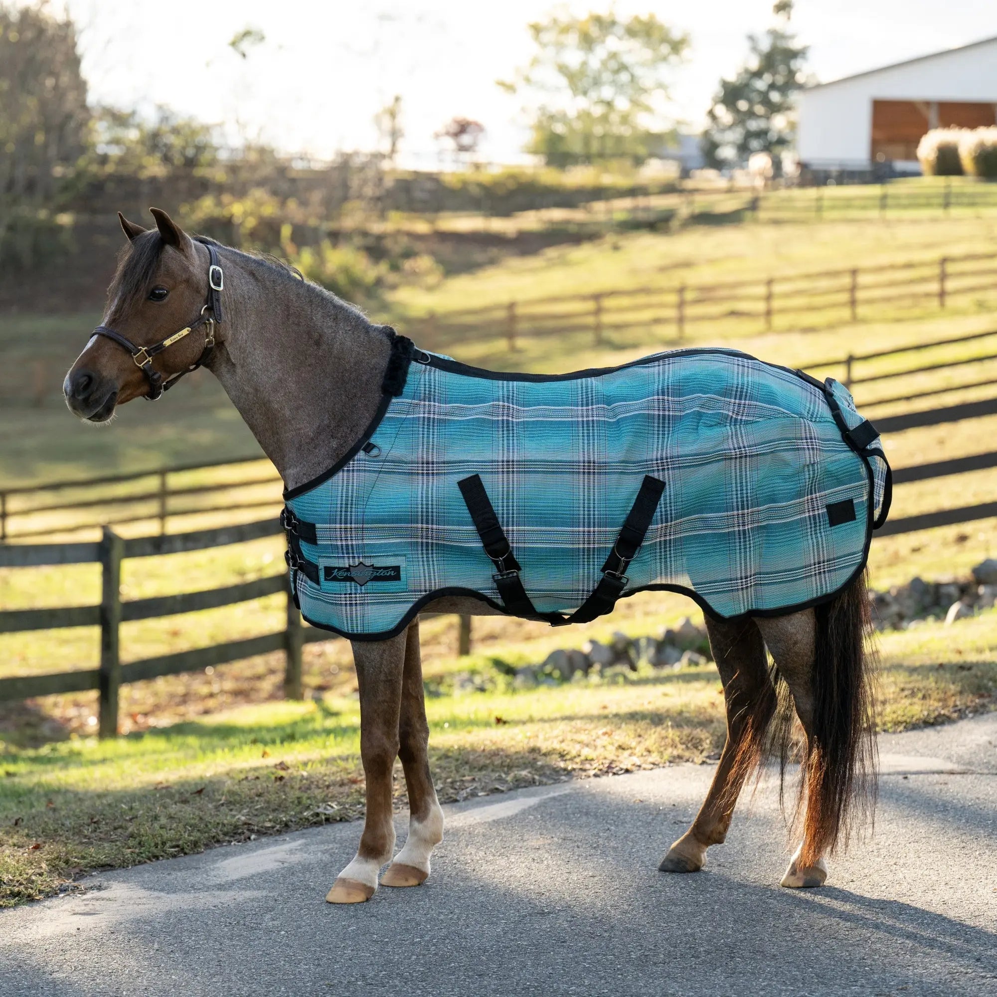 Pony Protective Fly Sheet with SureFit® - 73% UV Blocking - Equine Exchange Tack Shop
