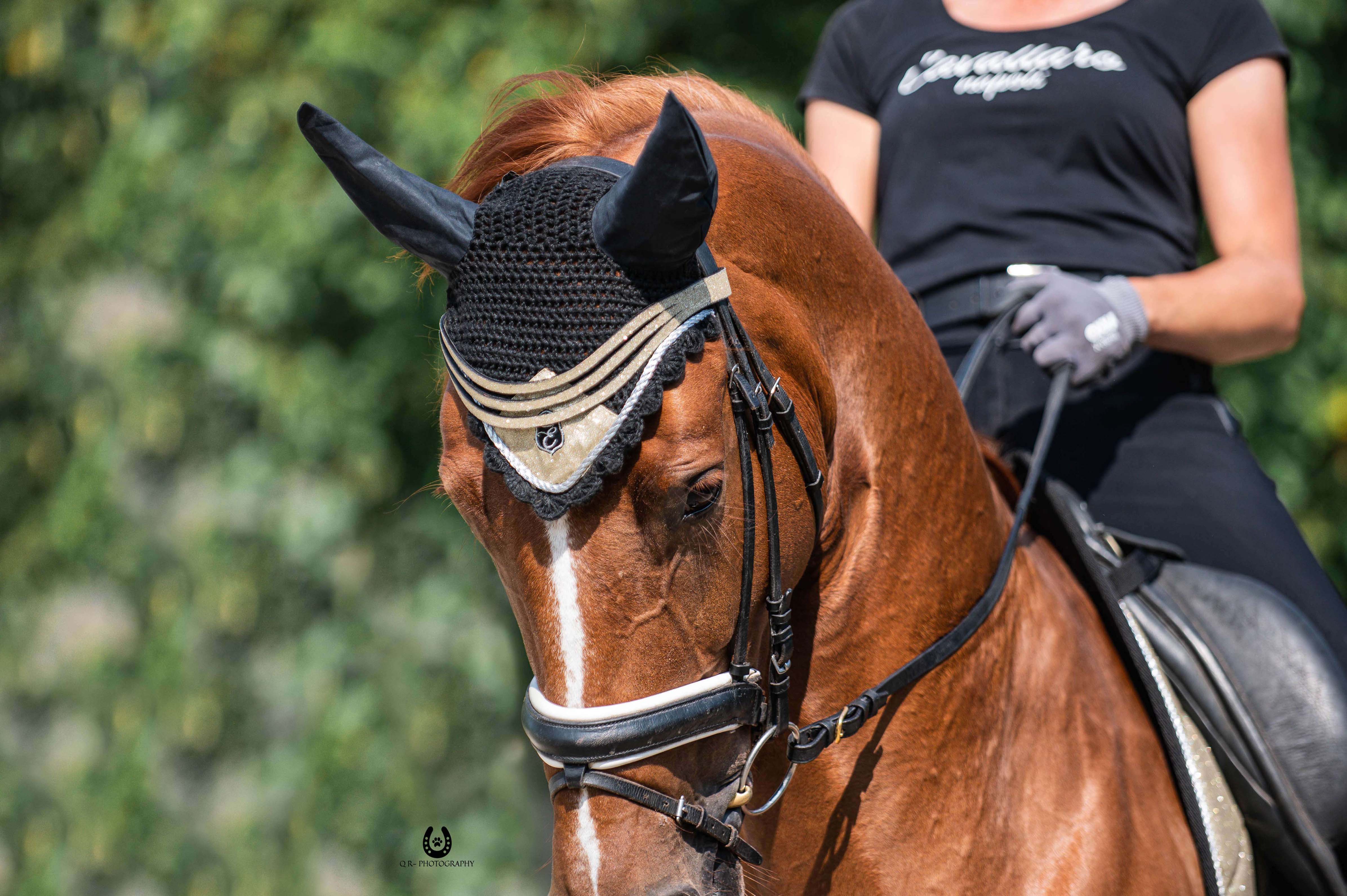 Champagne Fly Hat - Equine Exchange Tack Shop