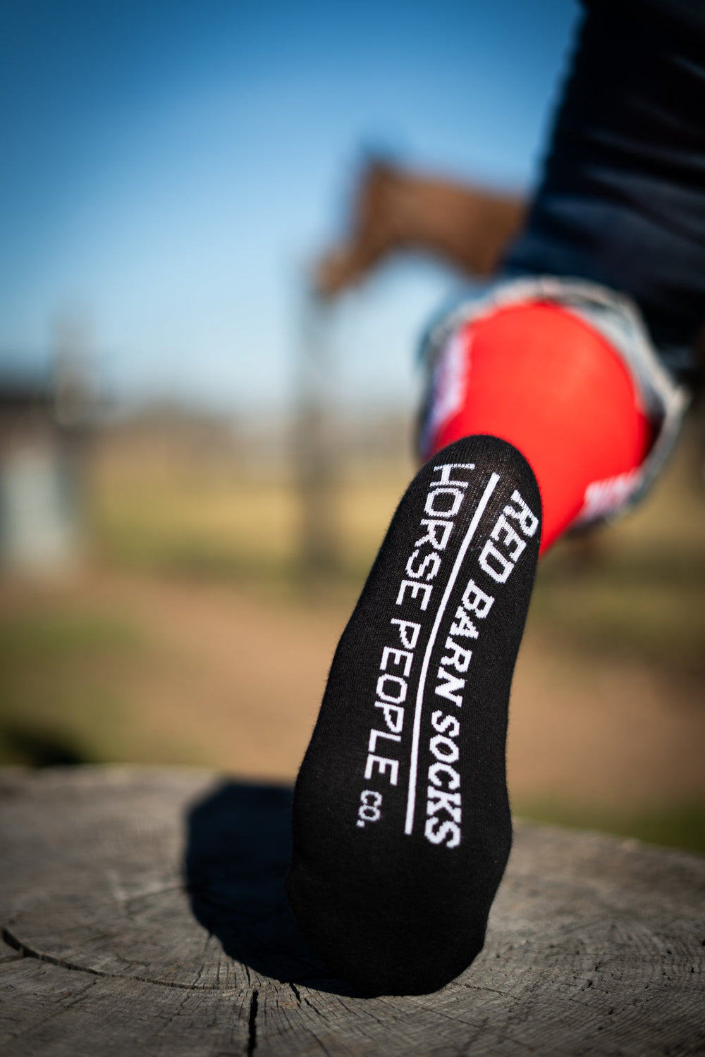 Horse Girl Boot Socks