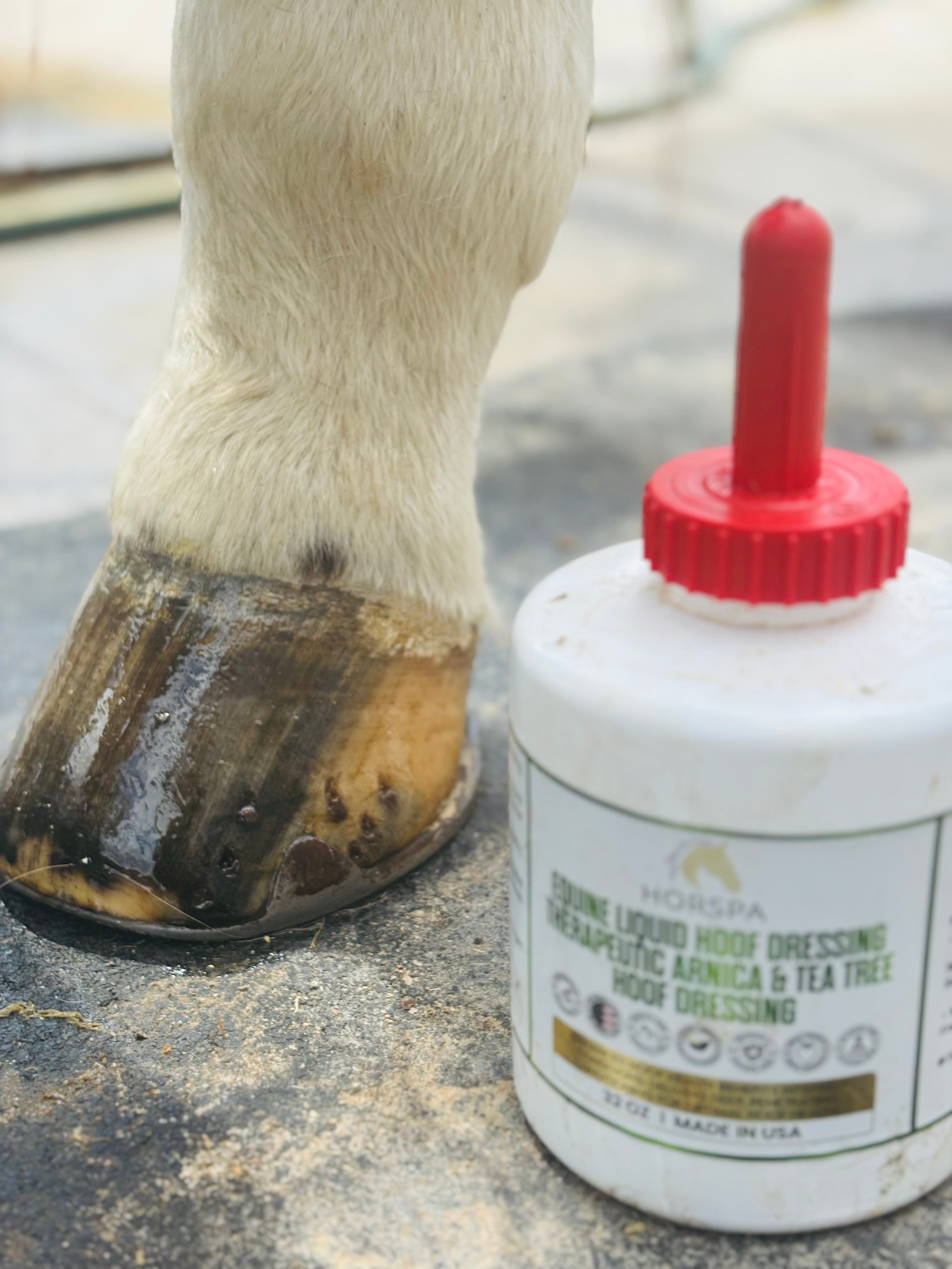 Equine Liquid Hoof Dressing  Arnica & Tea Tree  32 oz  