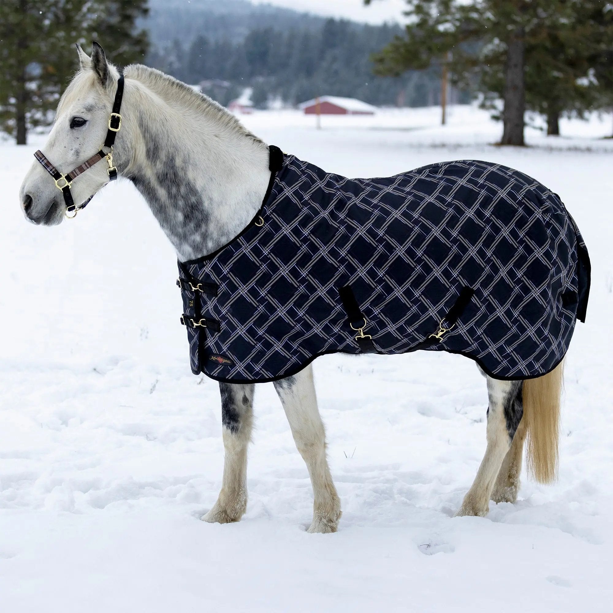 1200D 300G Heavy Weight Waterproof & Breathable Winter Turnout Blanket - Equine Exchange Tack Shop