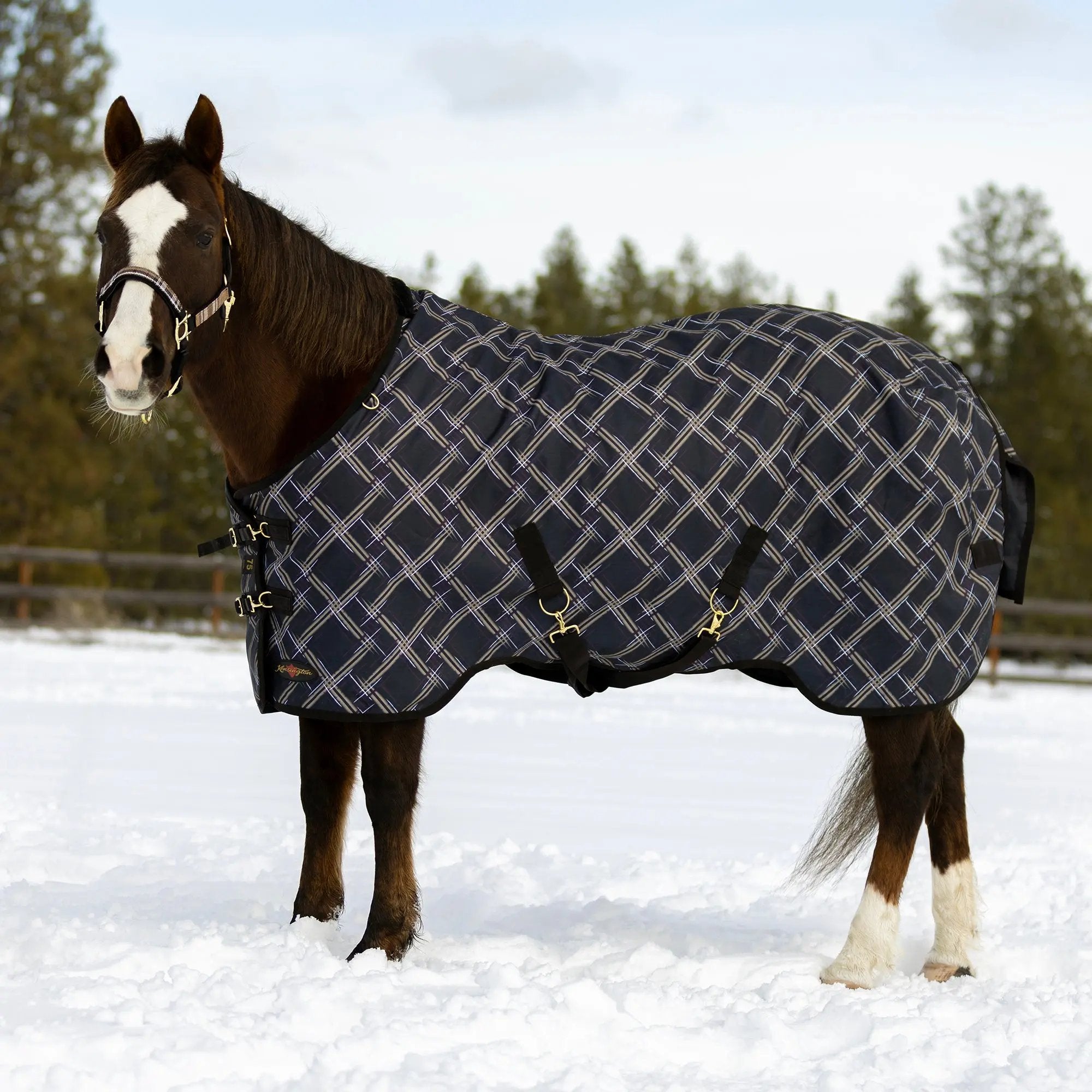 1200D 300G Heavy Weight Waterproof & Breathable Winter Turnout Blanket - Equine Exchange Tack Shop