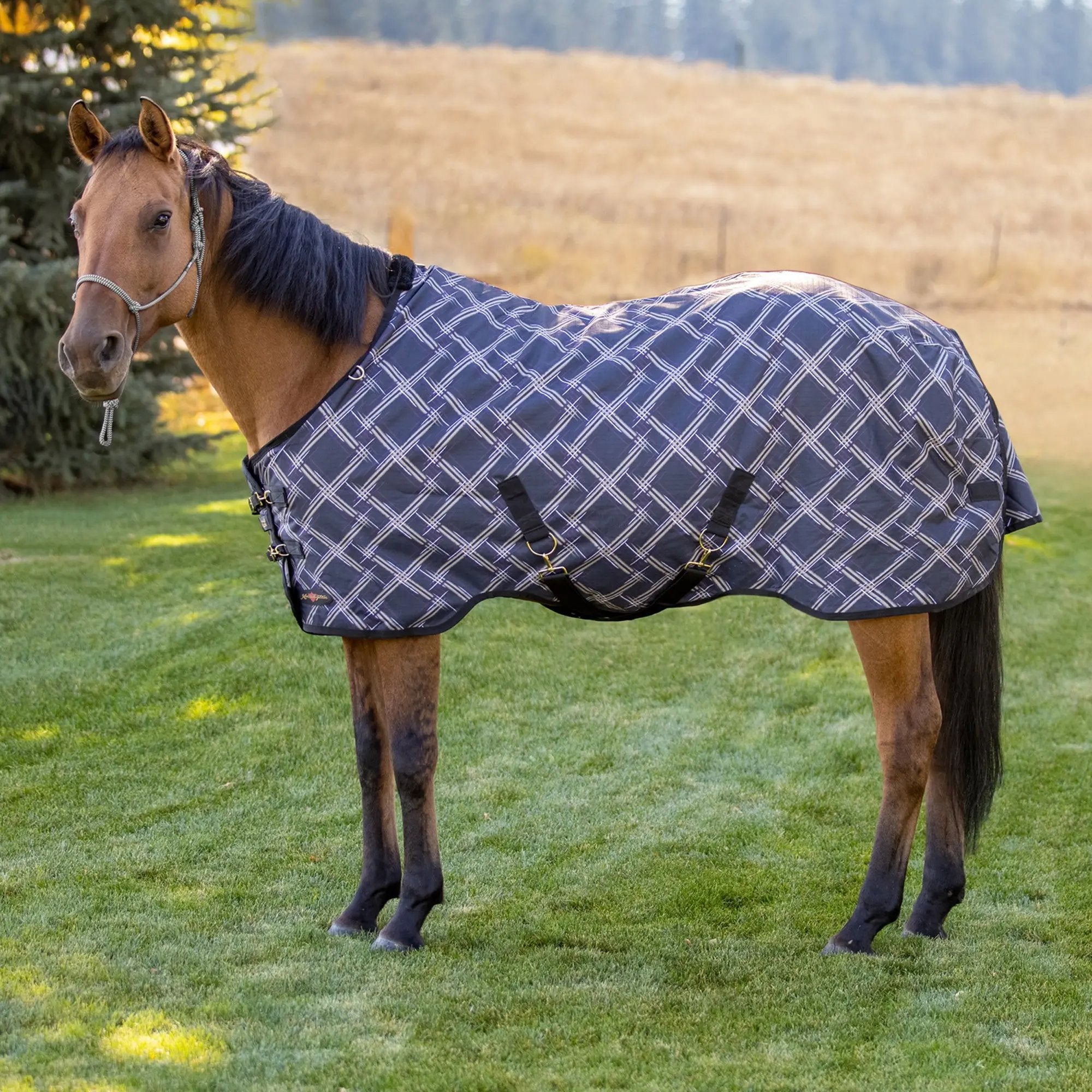 1200D 80G Light Weight Waterproof & Breathable Winter Turnout Blanket - Equine Exchange Tack Shop
