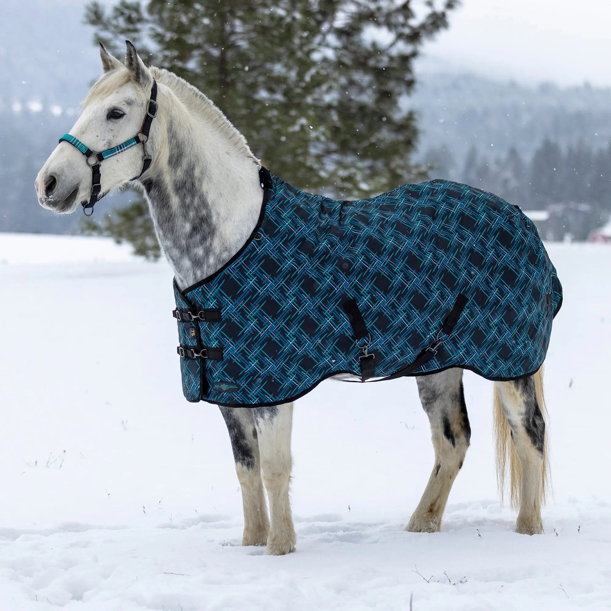 1200D 300G Heavy Weight Waterproof & Breathable Winter Turnout Blanket - Equine Exchange Tack Shop