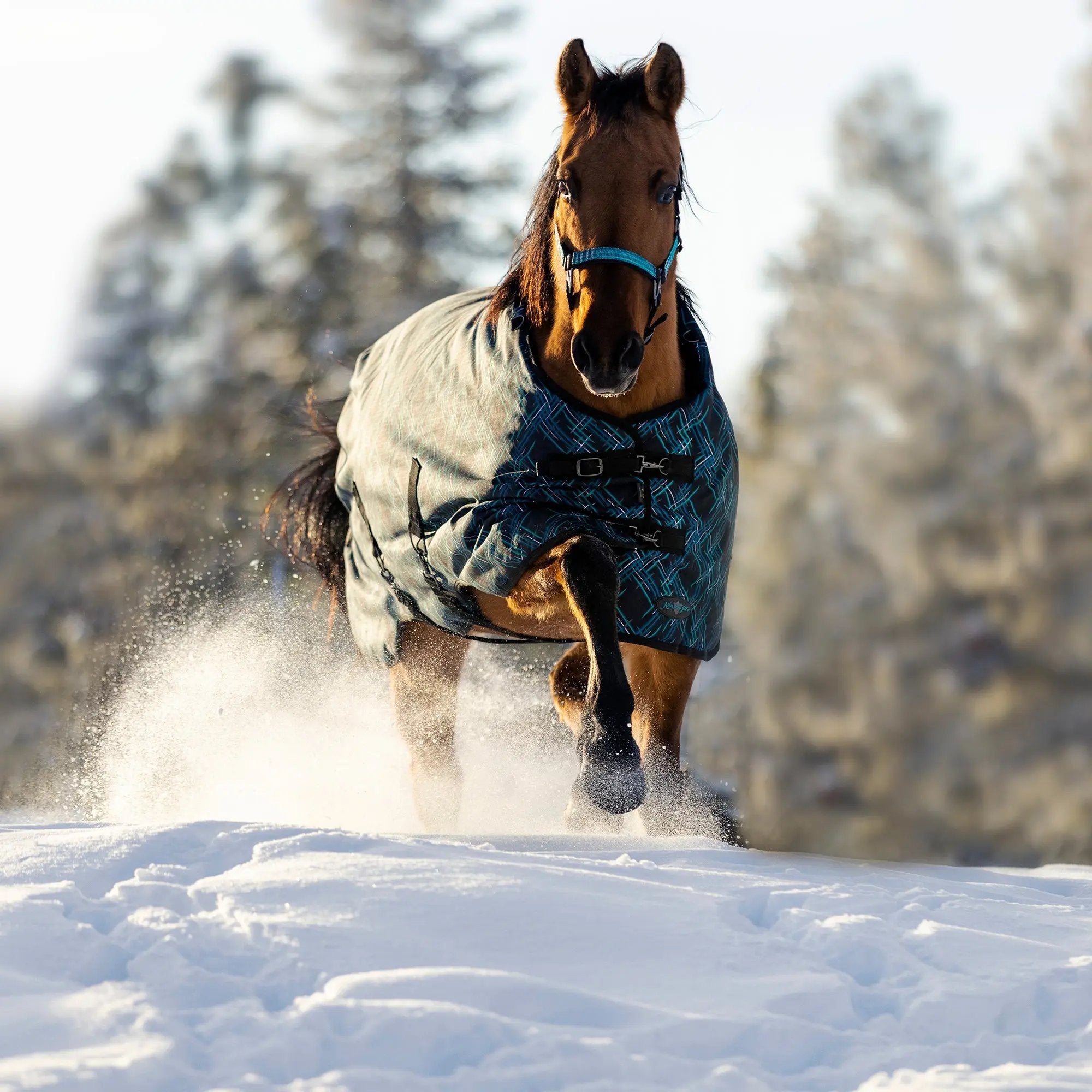 1200D 300G Heavy Weight Waterproof & Breathable Winter Turnout Blanket - Equine Exchange Tack Shop