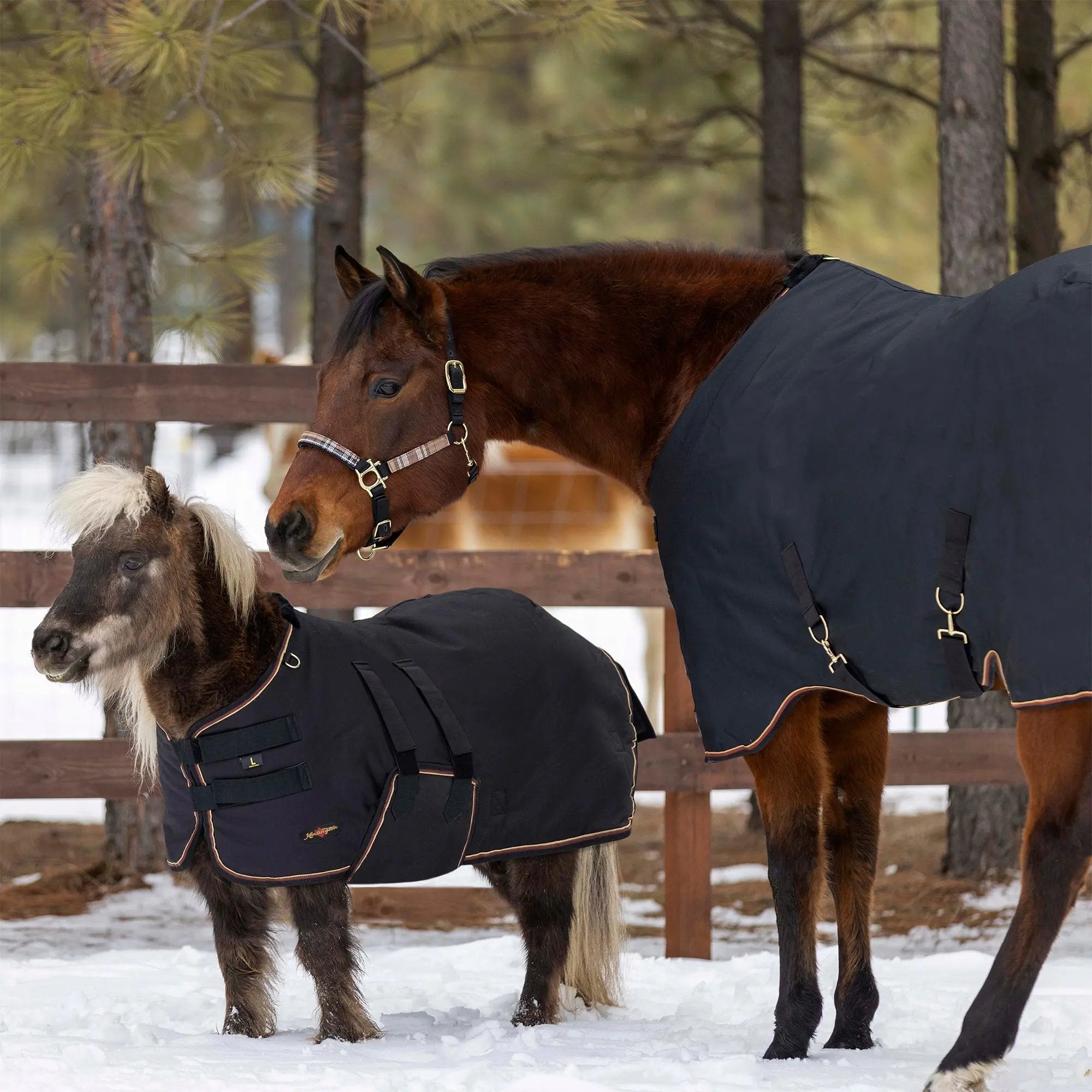 1200D 180G Medium Weight Waterproof & Breathable Mini Winter Turnout Blanket - Equine Exchange Tack Shop