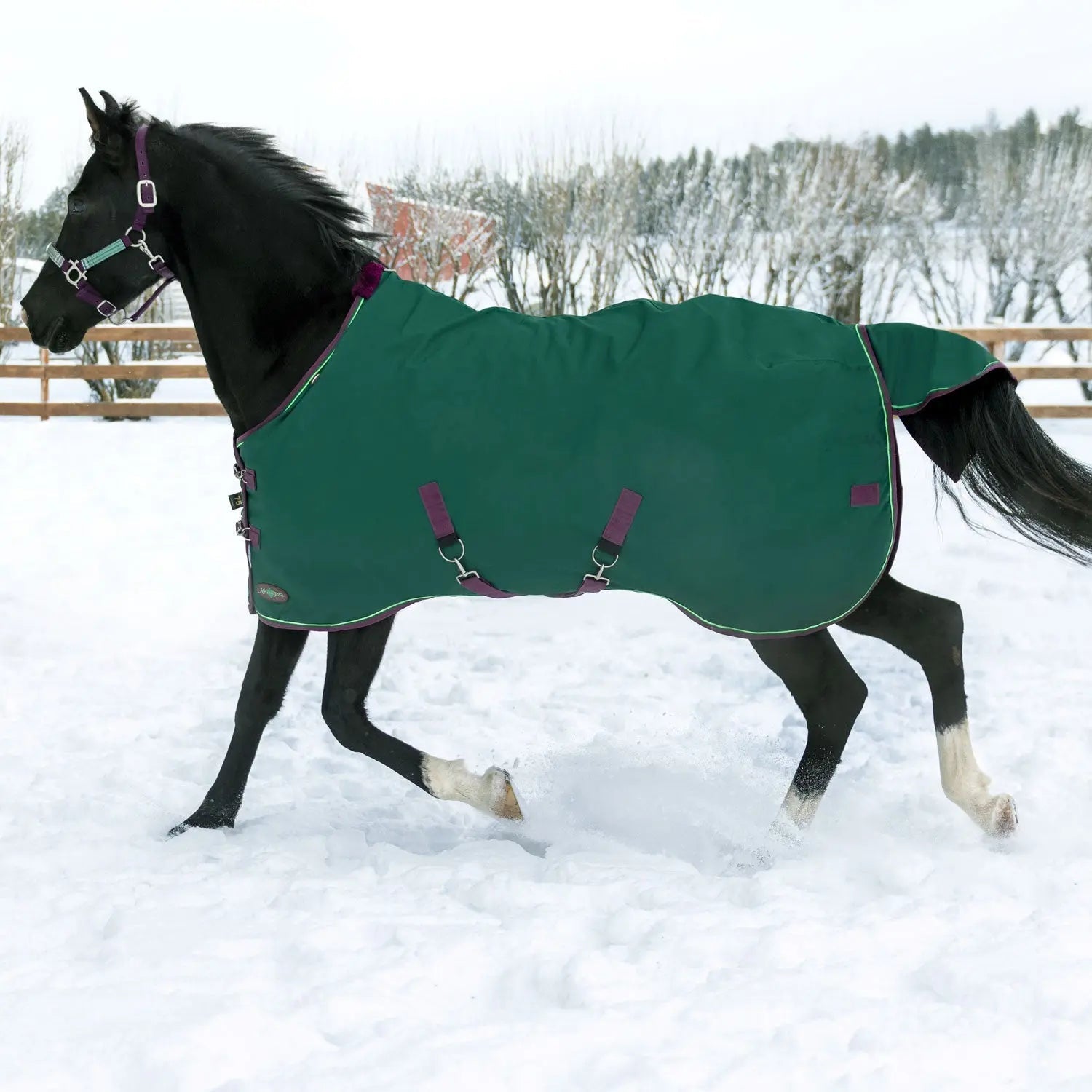 1200D 300G Heavy Weight Waterproof & Breathable Winter Turnout Blanket - Equine Exchange Tack Shop