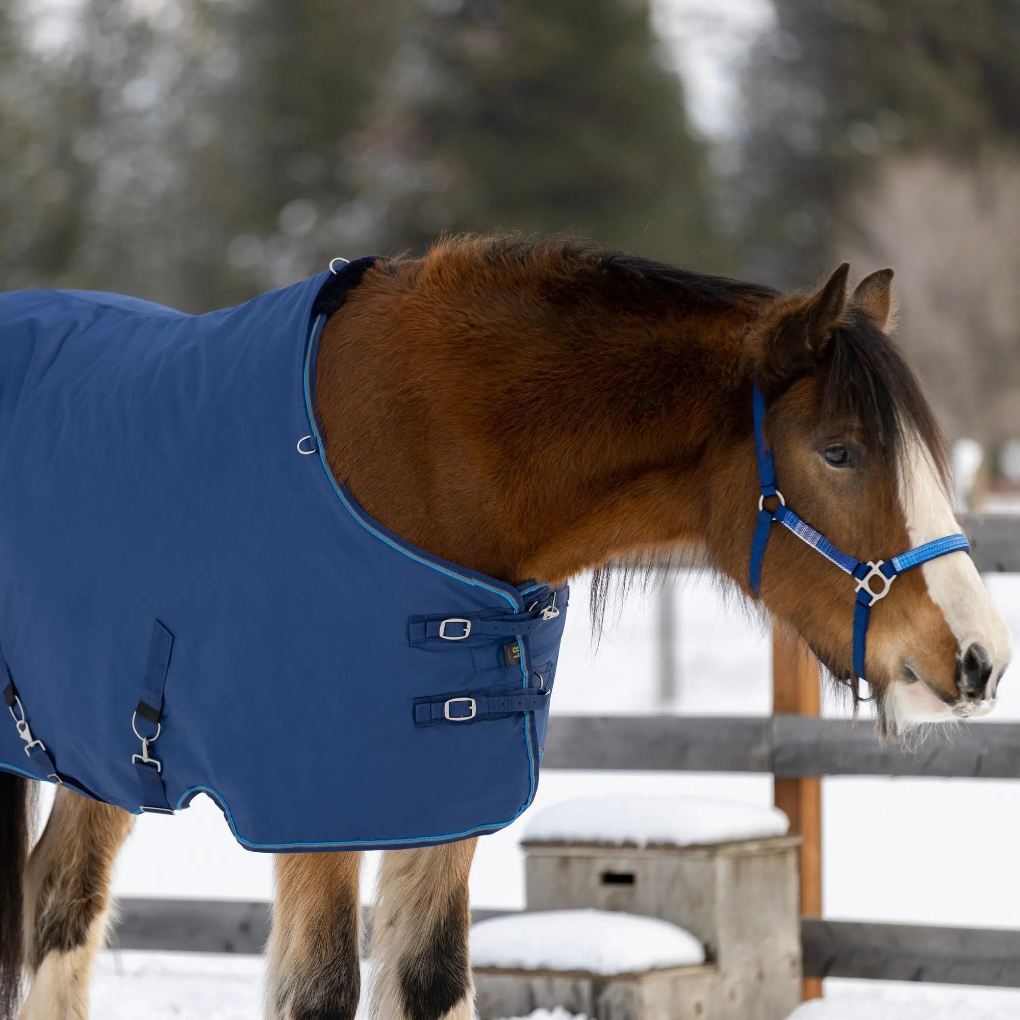 1200D 180G Medium Weight Waterproof & Breathable Draft Winter Turnout Blanket - Equine Exchange Tack Shop