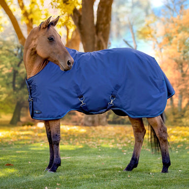 1200D 80G Light Weight Waterproof & Breathable Winter Turnout Blanket - Equine Exchange Tack Shop