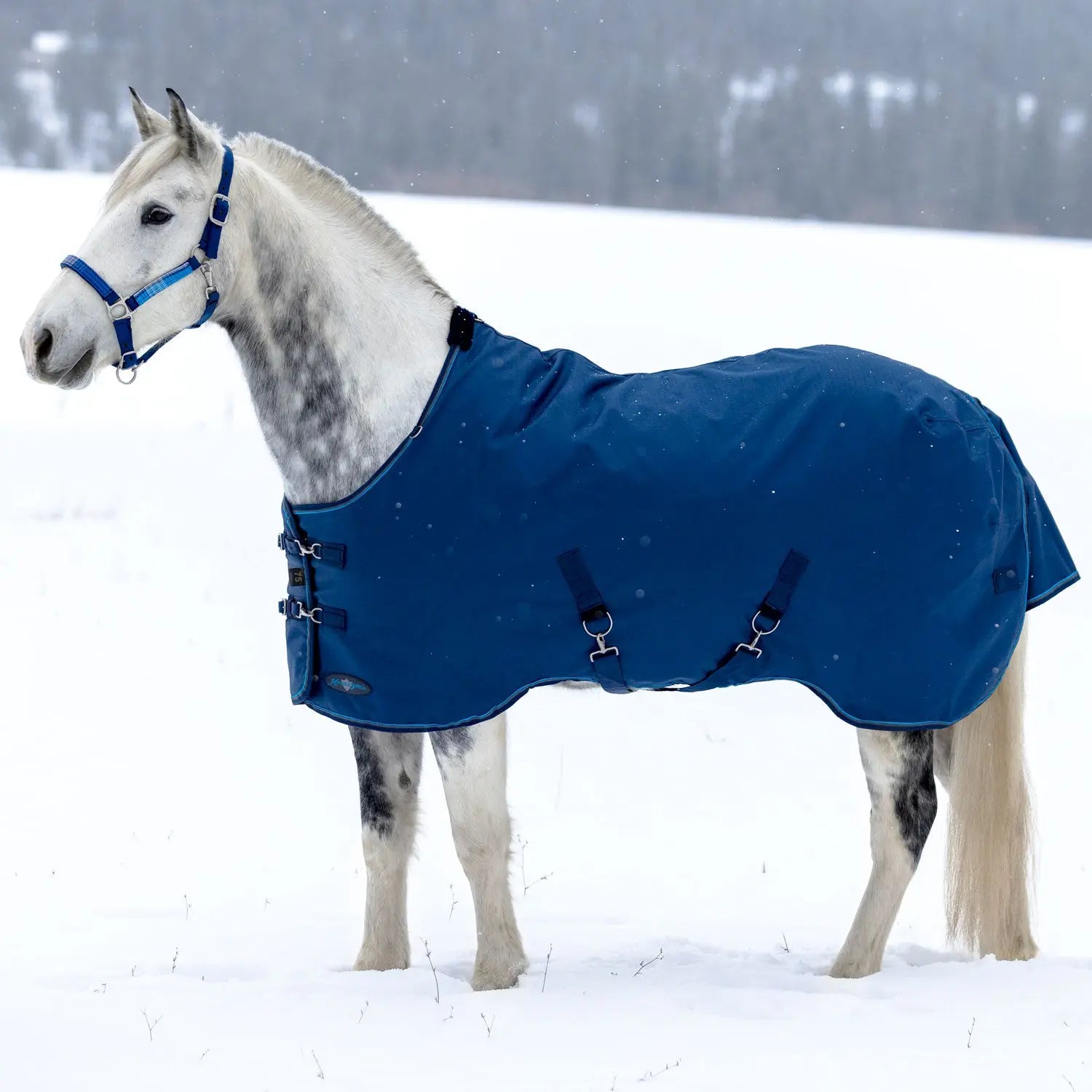 1200D 180G Medium Weight Waterproof & Breathable Winter Turnout Blanket - Equine Exchange Tack Shop
