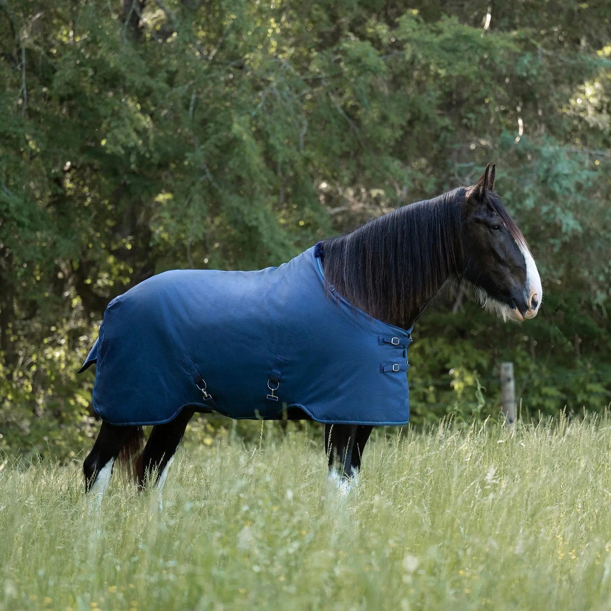 1200D 180G Medium Weight Waterproof & Breathable Draft Winter Turnout Blanket - Equine Exchange Tack Shop