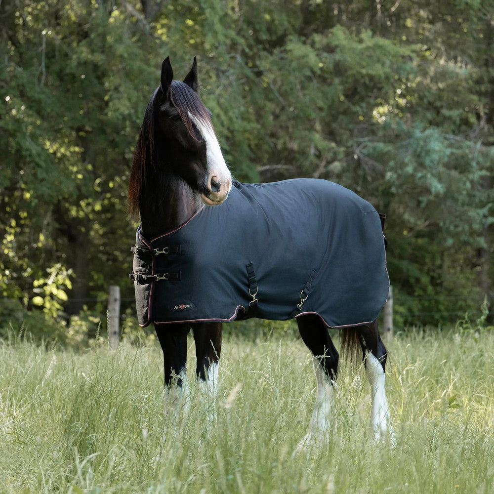 1200D 80G Light Weight Waterproof & Breathable Draft Winter Turnout Blanket - Equine Exchange Tack Shop