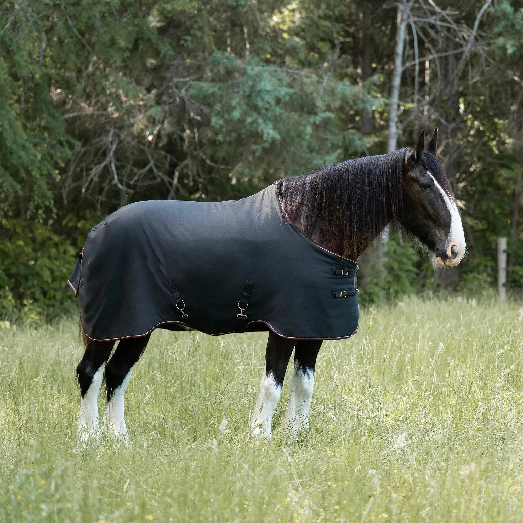 1200D 180G Medium Weight Waterproof & Breathable Draft Winter Turnout Blanket - Equine Exchange Tack Shop
