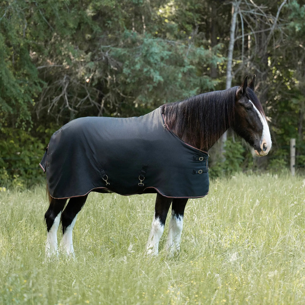 1200D 80G Light Weight Waterproof & Breathable Draft Winter Turnout Blanket - Equine Exchange Tack Shop
