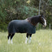1200D 80G Light Weight Waterproof & Breathable Draft Winter Turnout Blanket - Equine Exchange Tack Shop