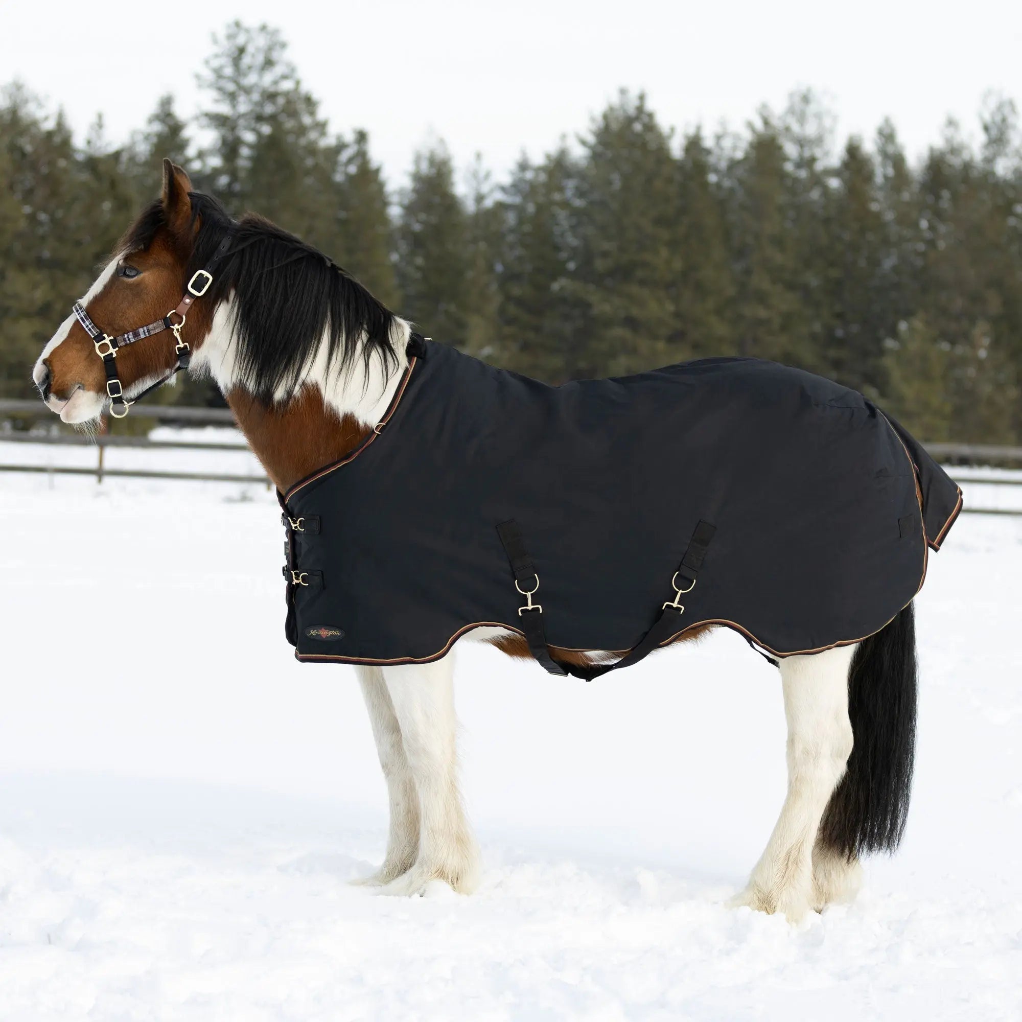 1200D 300G Heavy Weight Waterproof & Breathable Draft Winter Turnout Blanket - Equine Exchange Tack Shop