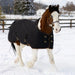 1200D 300G Heavy Weight Waterproof & Breathable Draft Winter Turnout Blanket - Equine Exchange Tack Shop