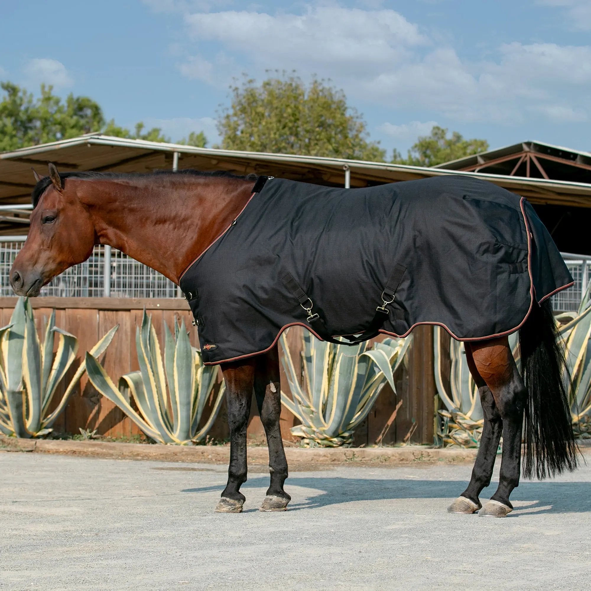 1200D 80G Light Weight Waterproof & Breathable Winter Turnout Blanket - Equine Exchange Tack Shop