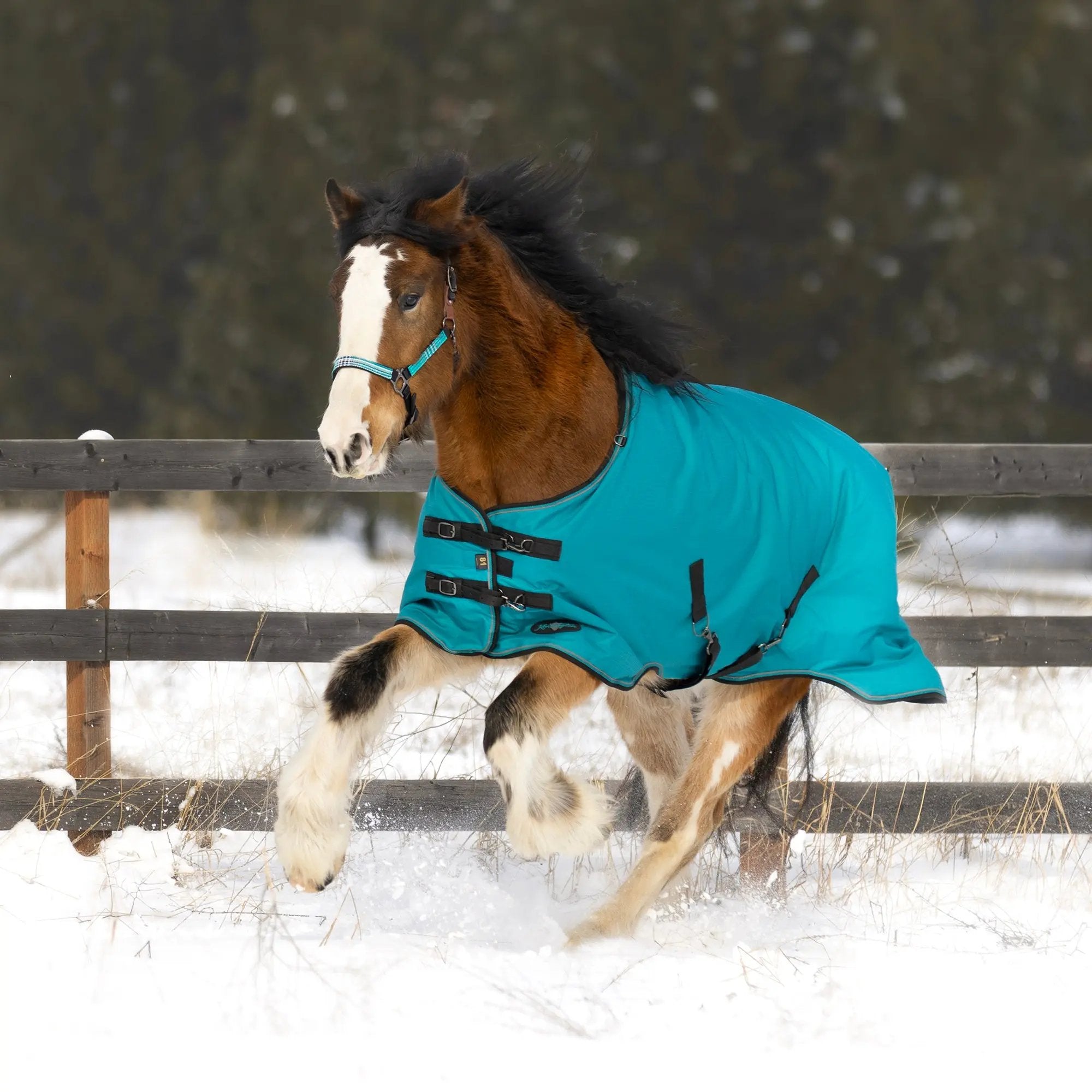 1200D 180G Medium Weight Waterproof & Breathable Winter Turnout Blanket - Equine Exchange Tack Shop