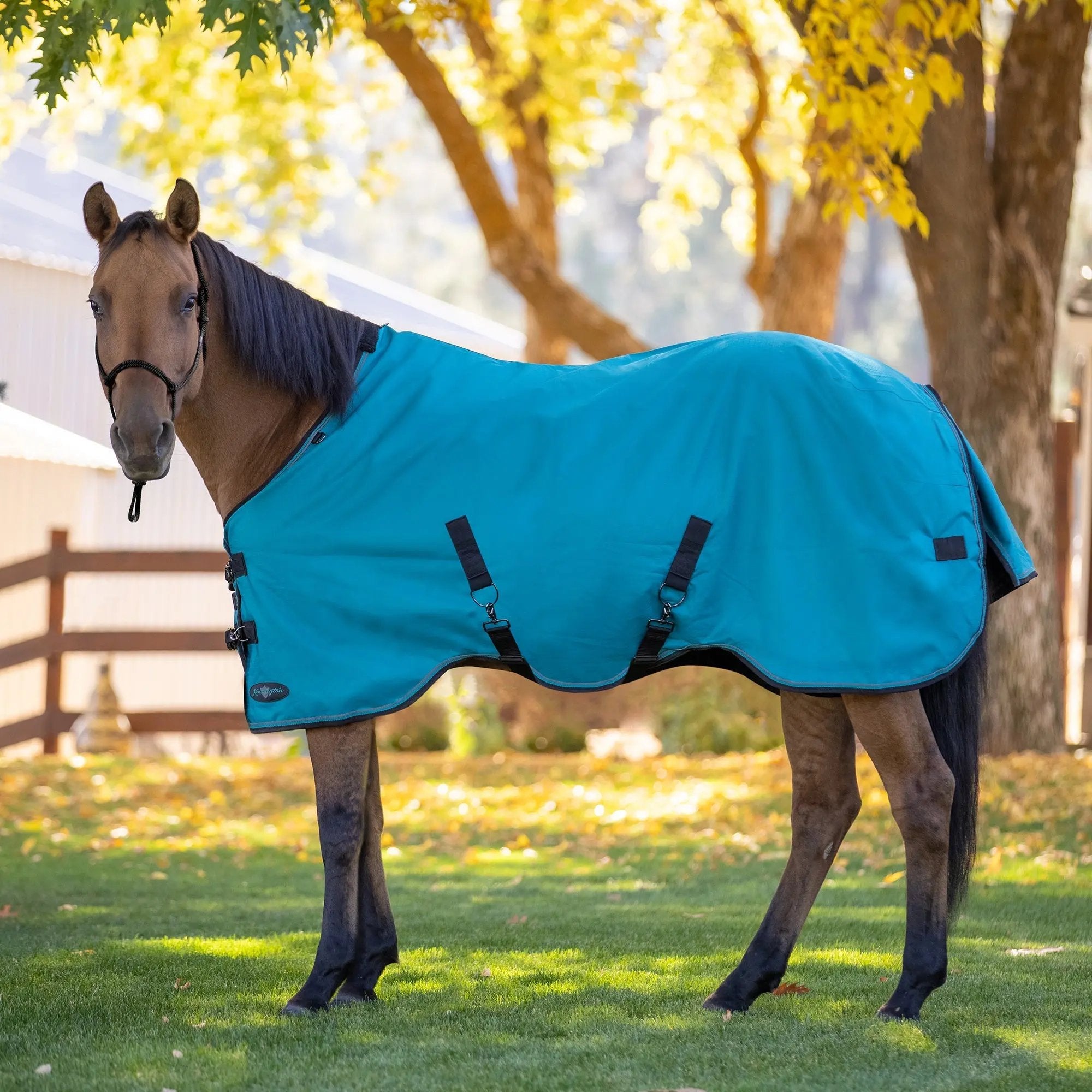 1200D 80G Light Weight Waterproof & Breathable Winter Turnout Blanket - Equine Exchange Tack Shop