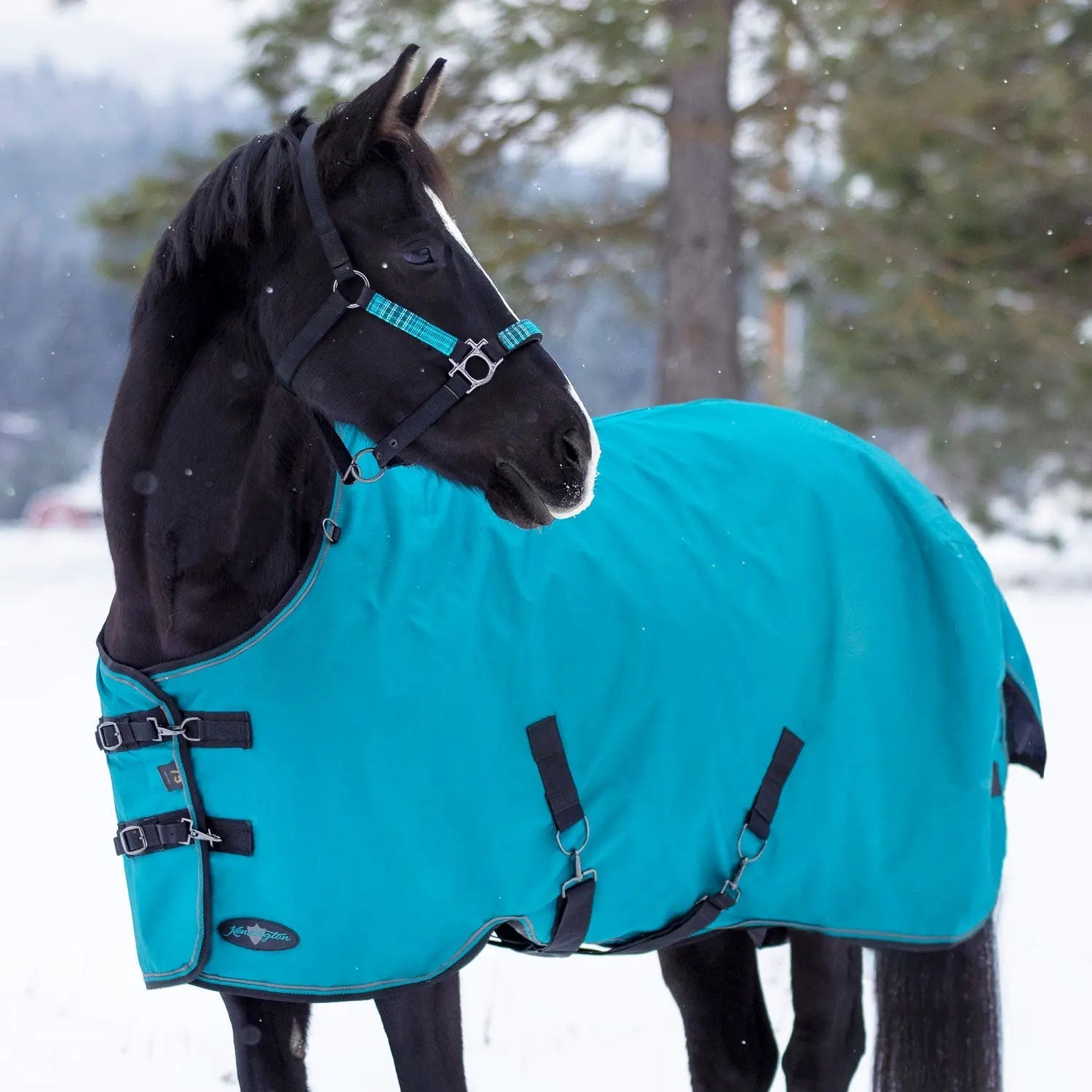 1200D 180G Medium Weight Waterproof & Breathable Winter Turnout Blanket - Equine Exchange Tack Shop