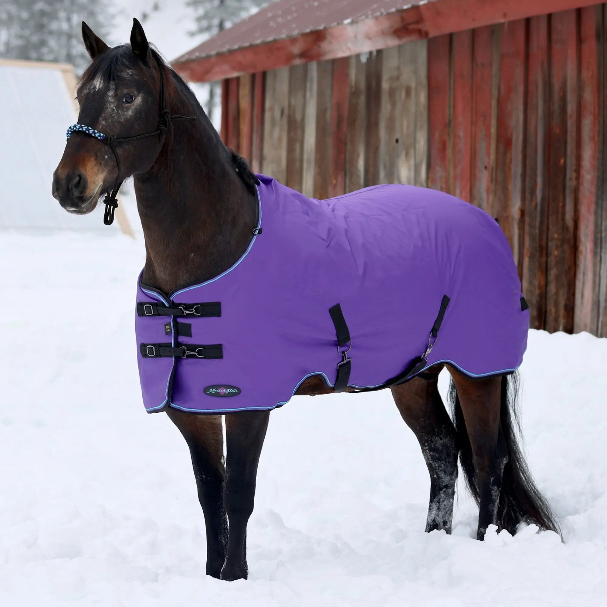 1200D 180G Medium Weight Waterproof & Breathable Winter Turnout Blanket - Equine Exchange Tack Shop