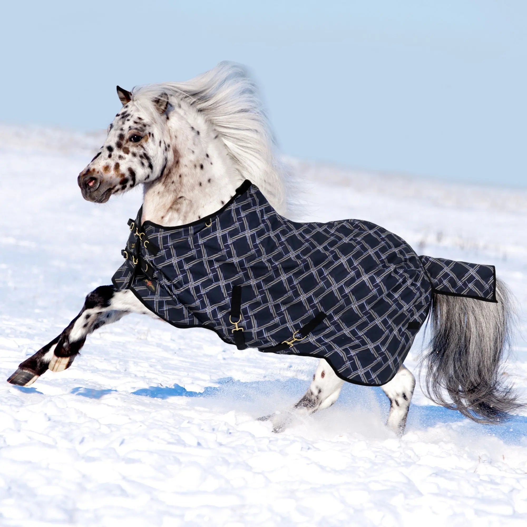 1200D 80G Light Weight Waterproof & Breathable Pony Winter Turnout - Equine Exchange Tack Shop