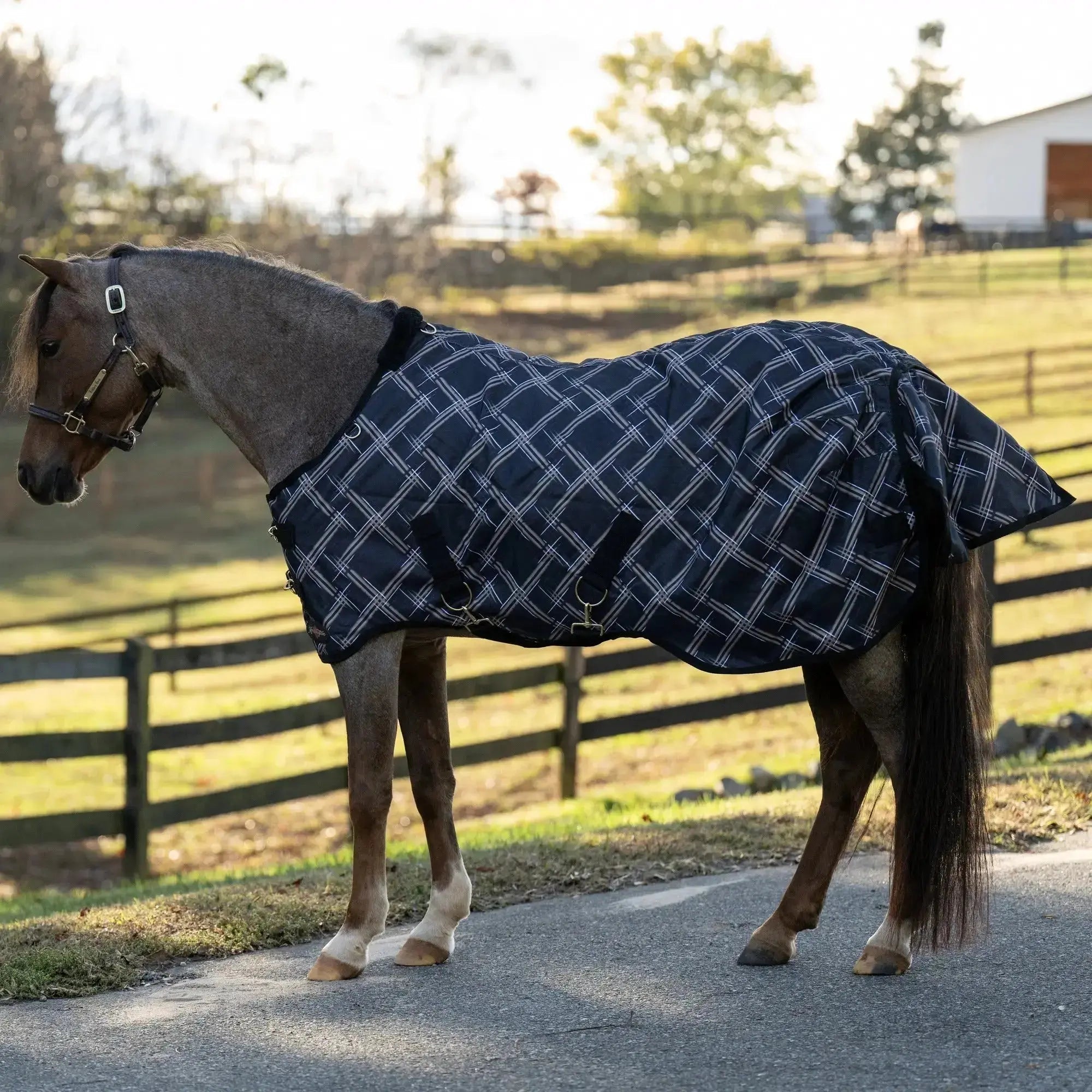 1200D 300G Heavy Weight Waterproof & Breathable Pony Winter Turnout - Equine Exchange Tack Shop