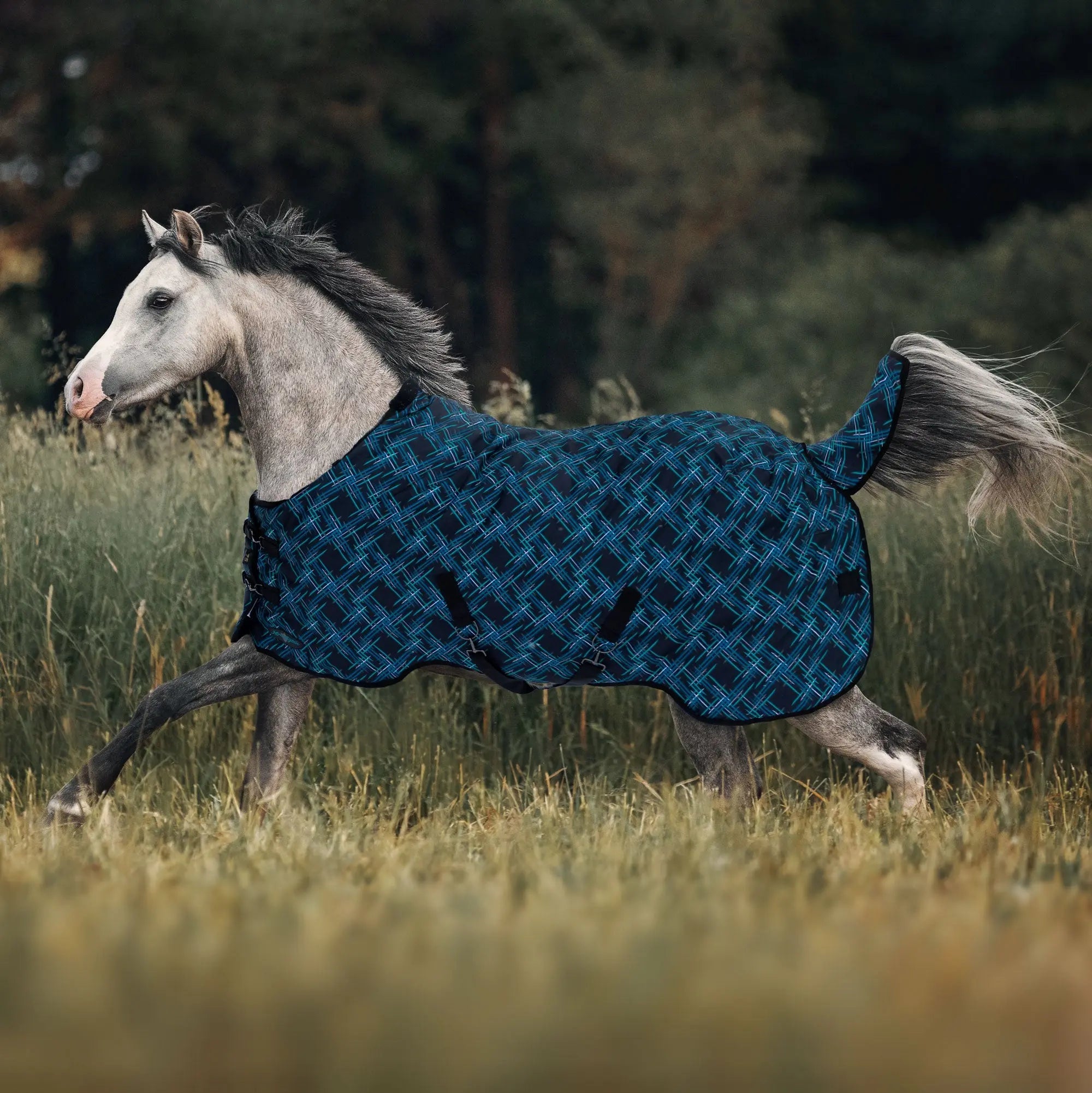 1200D 180G Medium Weight Waterproof & Breathable Pony Winter Turnout - Equine Exchange Tack Shop