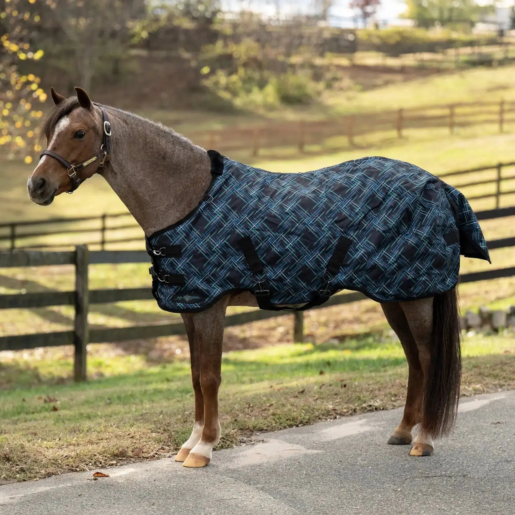 1200D 80G Light Weight Waterproof & Breathable Pony Winter Turnout - Equine Exchange Tack Shop
