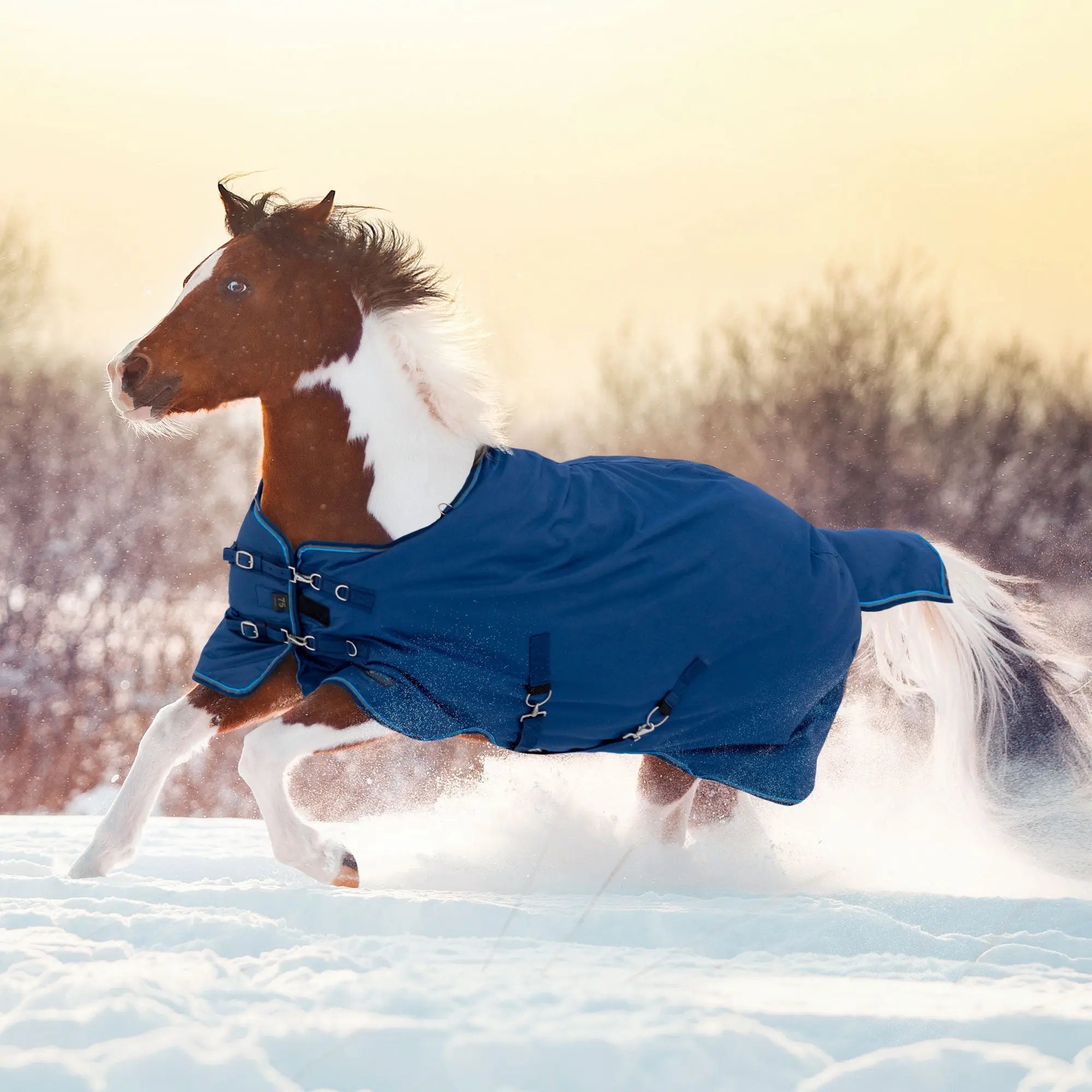 1200D 80G Light Weight Waterproof & Breathable Pony Winter Turnout - Equine Exchange Tack Shop