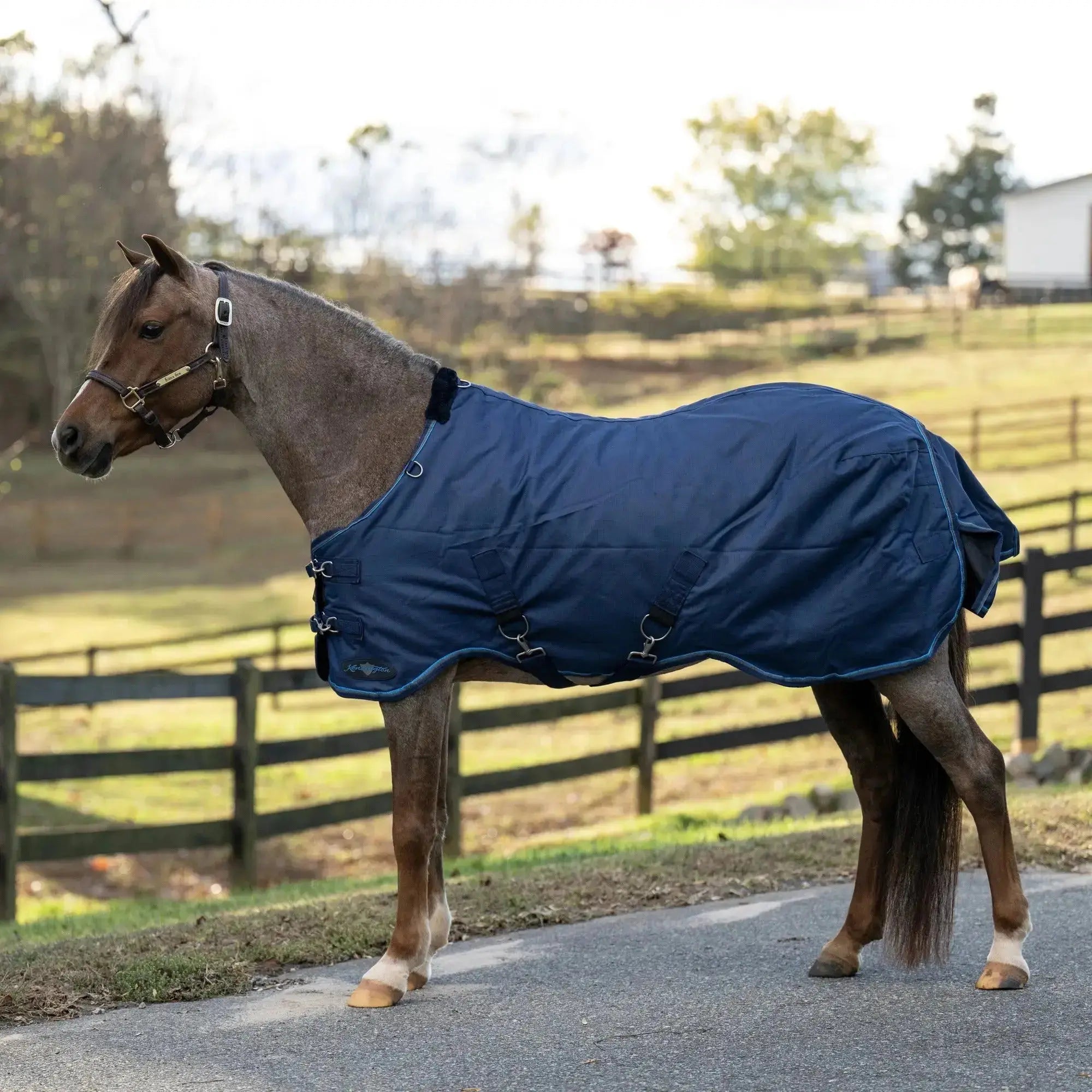 1200D 80G Light Weight Waterproof & Breathable Pony Winter Turnout - Equine Exchange Tack Shop