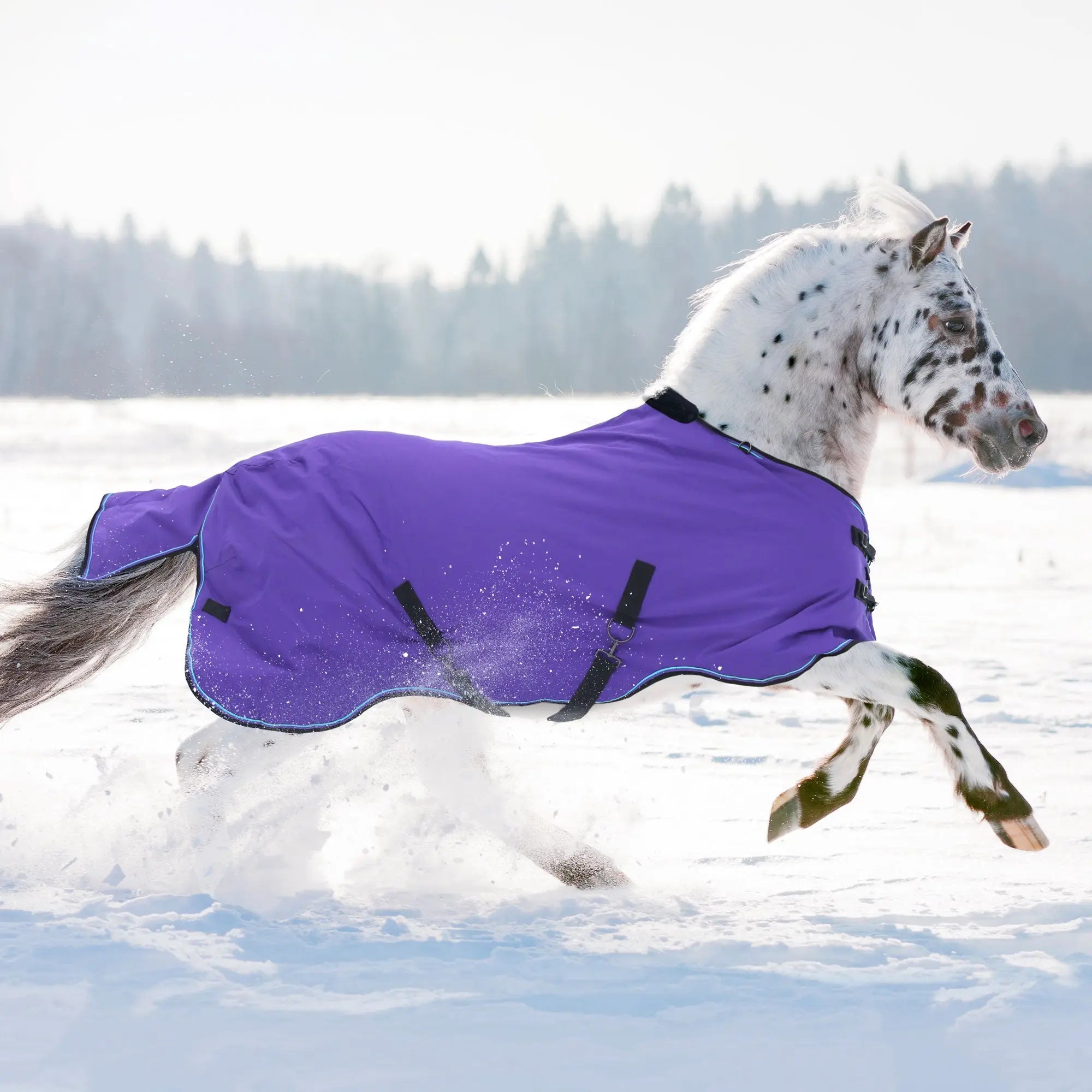 1200D 300G Heavy Weight Waterproof & Breathable Pony Winter Turnout - Equine Exchange Tack Shop