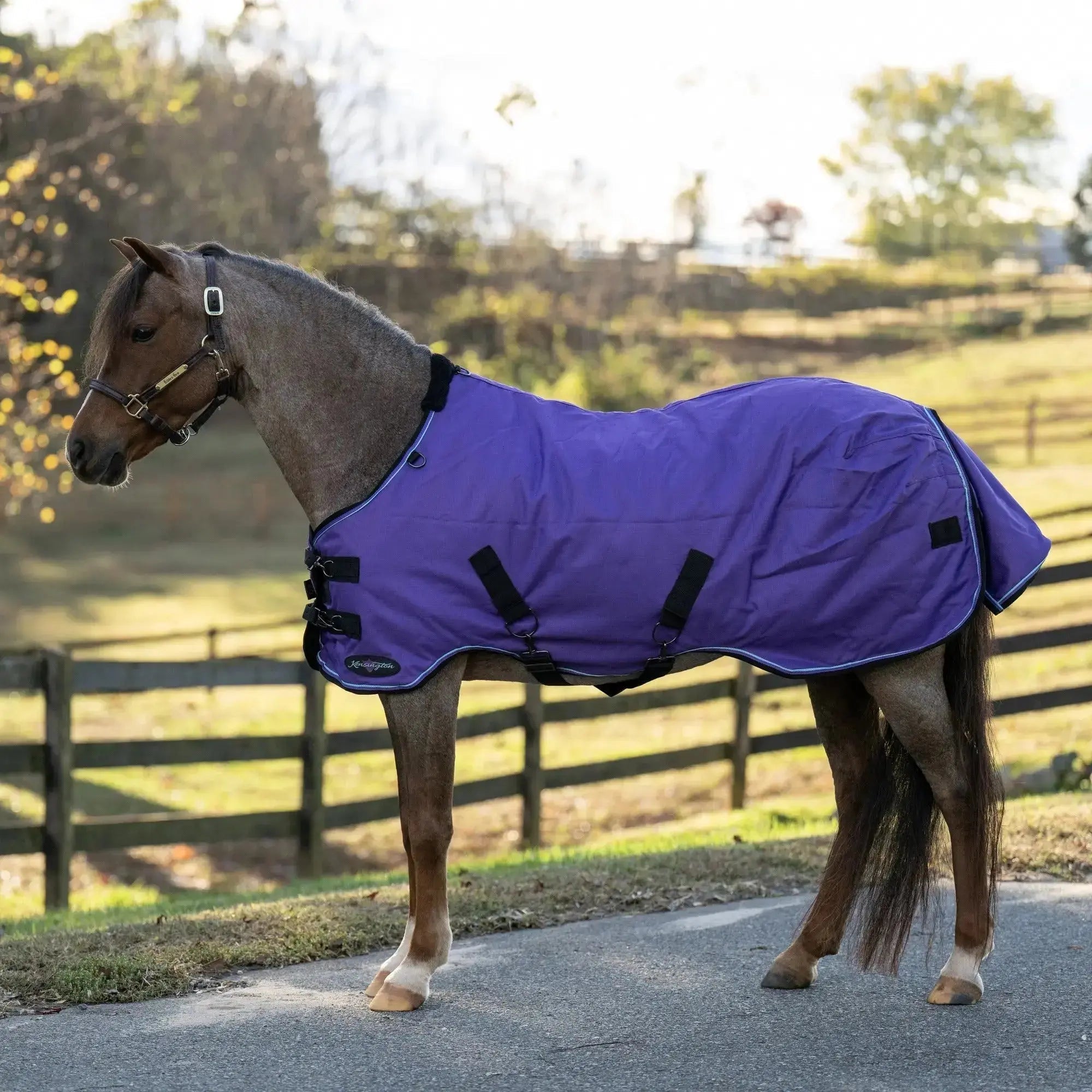 1200D 80G Light Weight Waterproof & Breathable Pony Winter Turnout - Equine Exchange Tack Shop