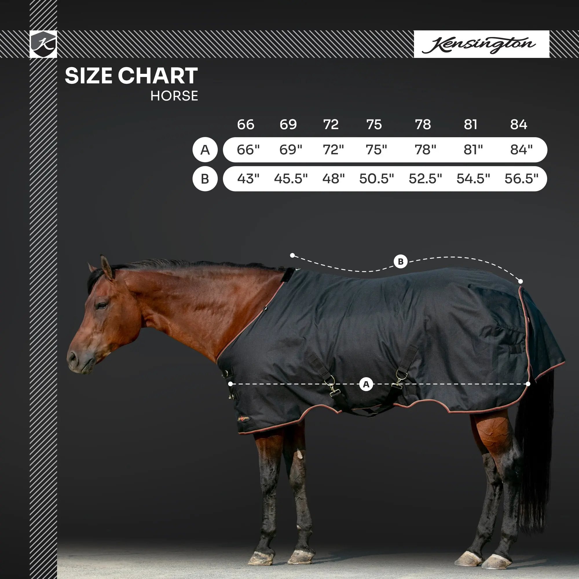 1200D 80G Light Weight Waterproof & Breathable Winter Turnout Blanket - Equine Exchange Tack Shop