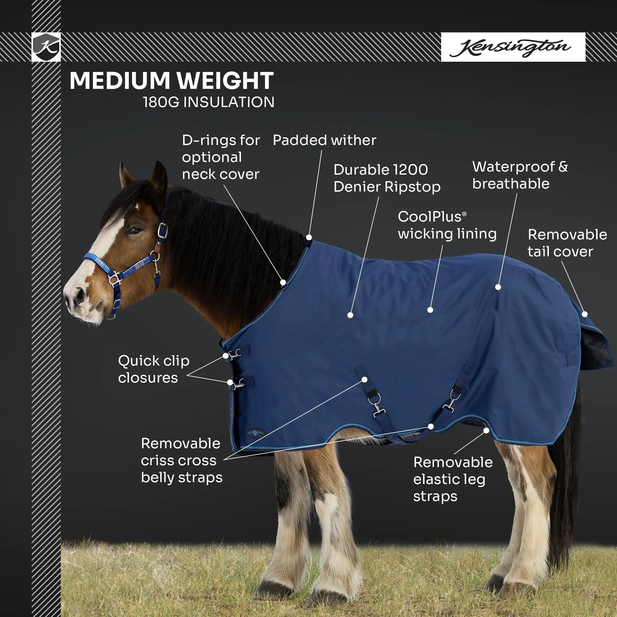 1200D 180G Medium Weight Waterproof & Breathable Draft Winter Turnout Blanket - Equine Exchange Tack Shop