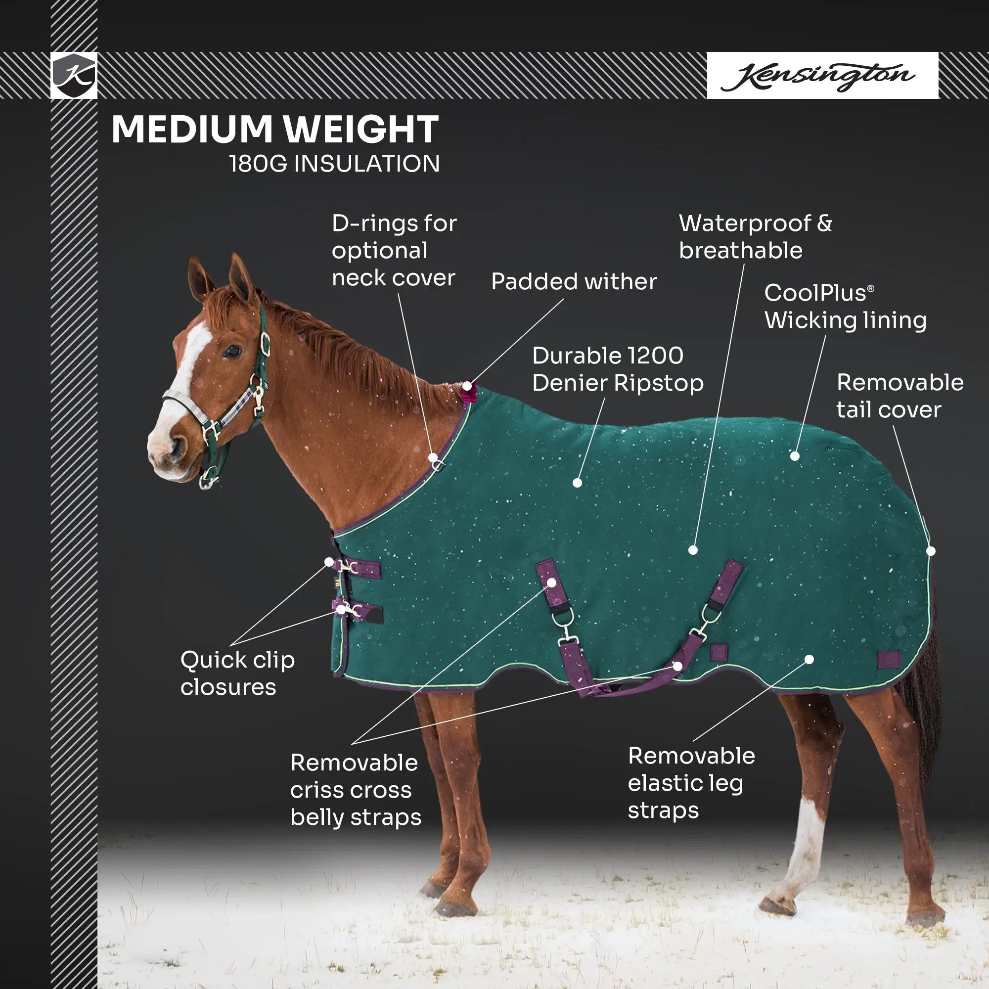 1200D 180G Medium Weight Waterproof & Breathable Winter Turnout Blanket - Equine Exchange Tack Shop