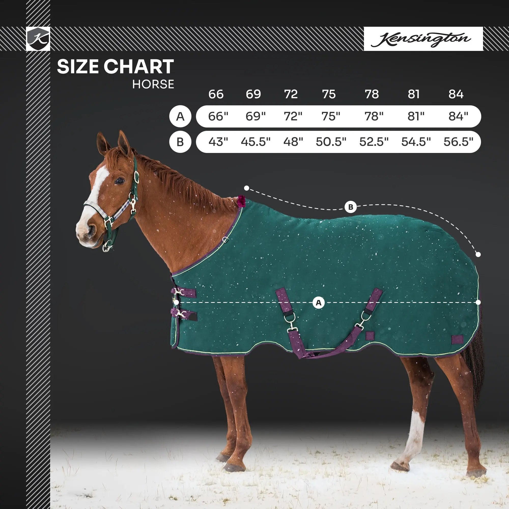 1200D 180G Medium Weight Waterproof & Breathable Winter Turnout Blanket - Equine Exchange Tack Shop