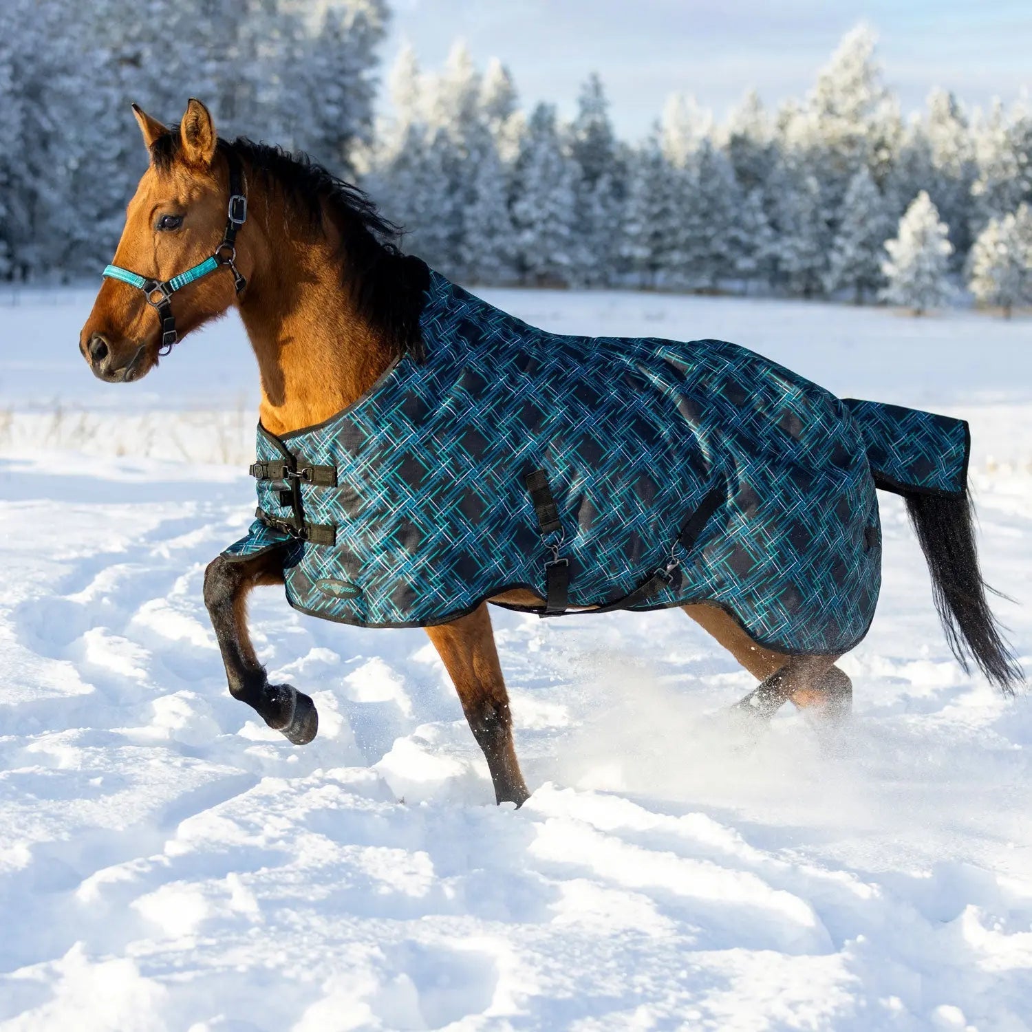 1200D 180G Medium Weight Waterproof & Breathable Winter Turnout Blanket - Equine Exchange Tack Shop